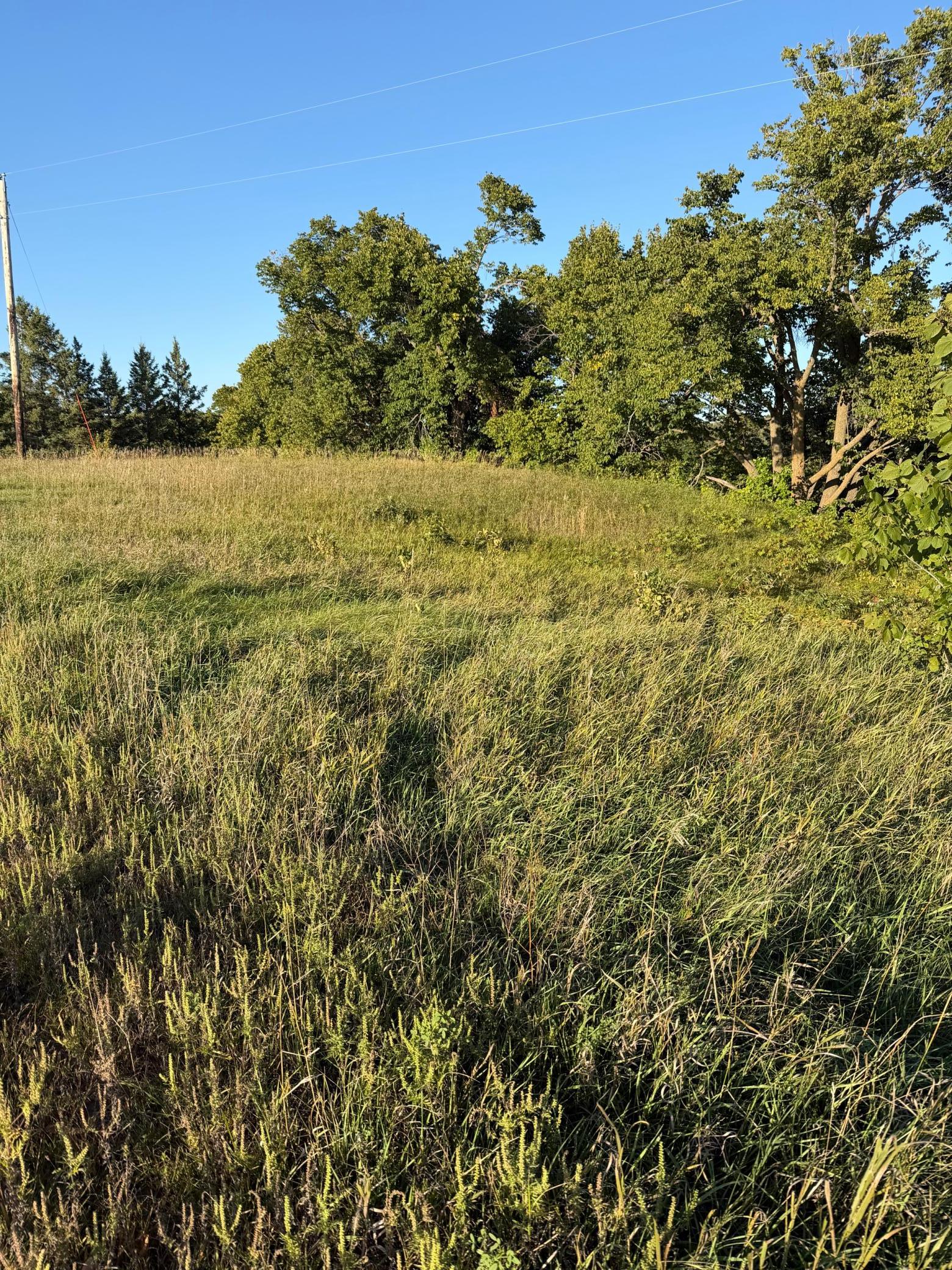 land for sale at 40740 Placid Drive in Dent, MN (photo 15 of 18)