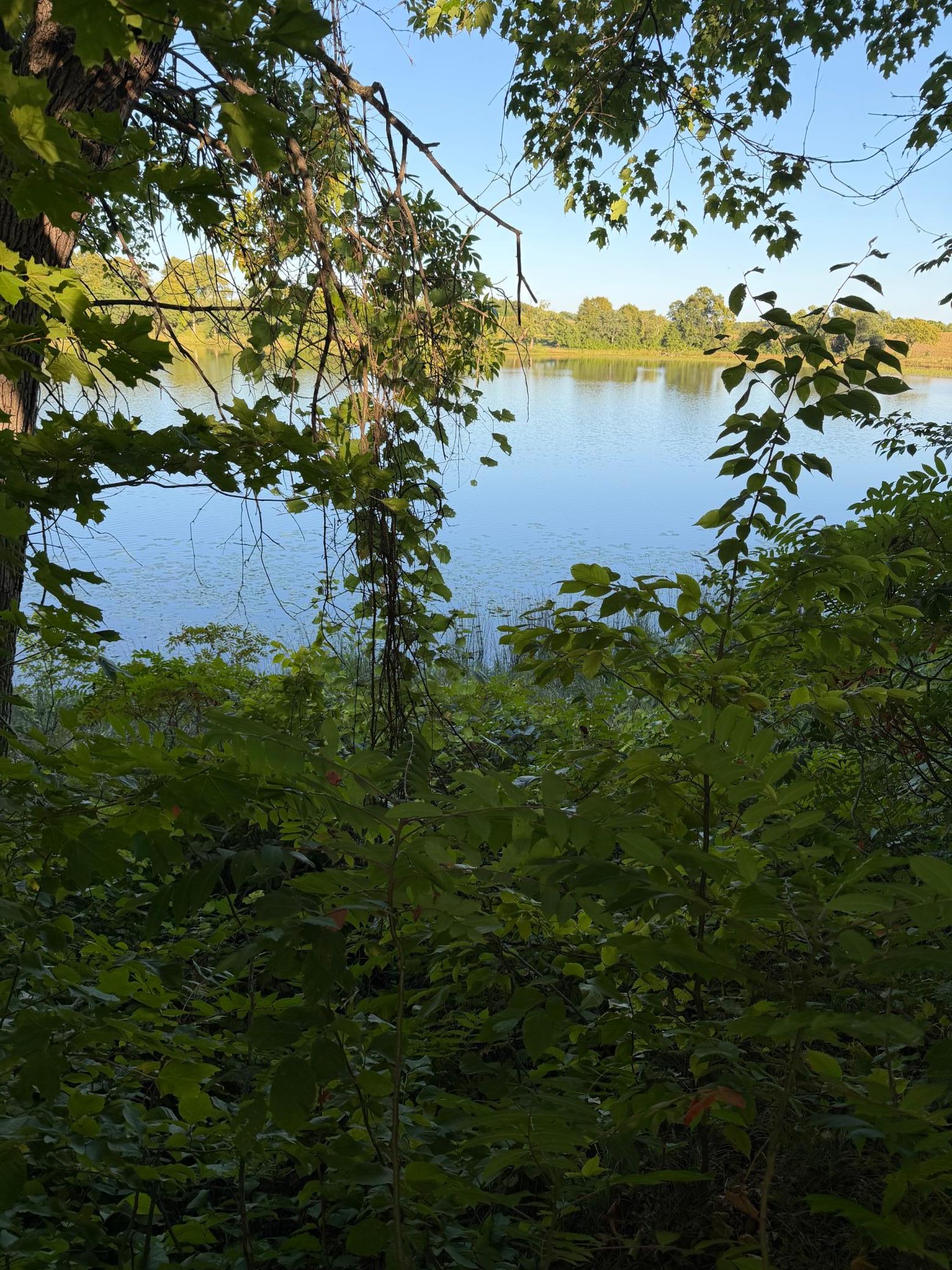 land for sale at 40740 Placid Drive in Dent, MN (photo 10 of 18)