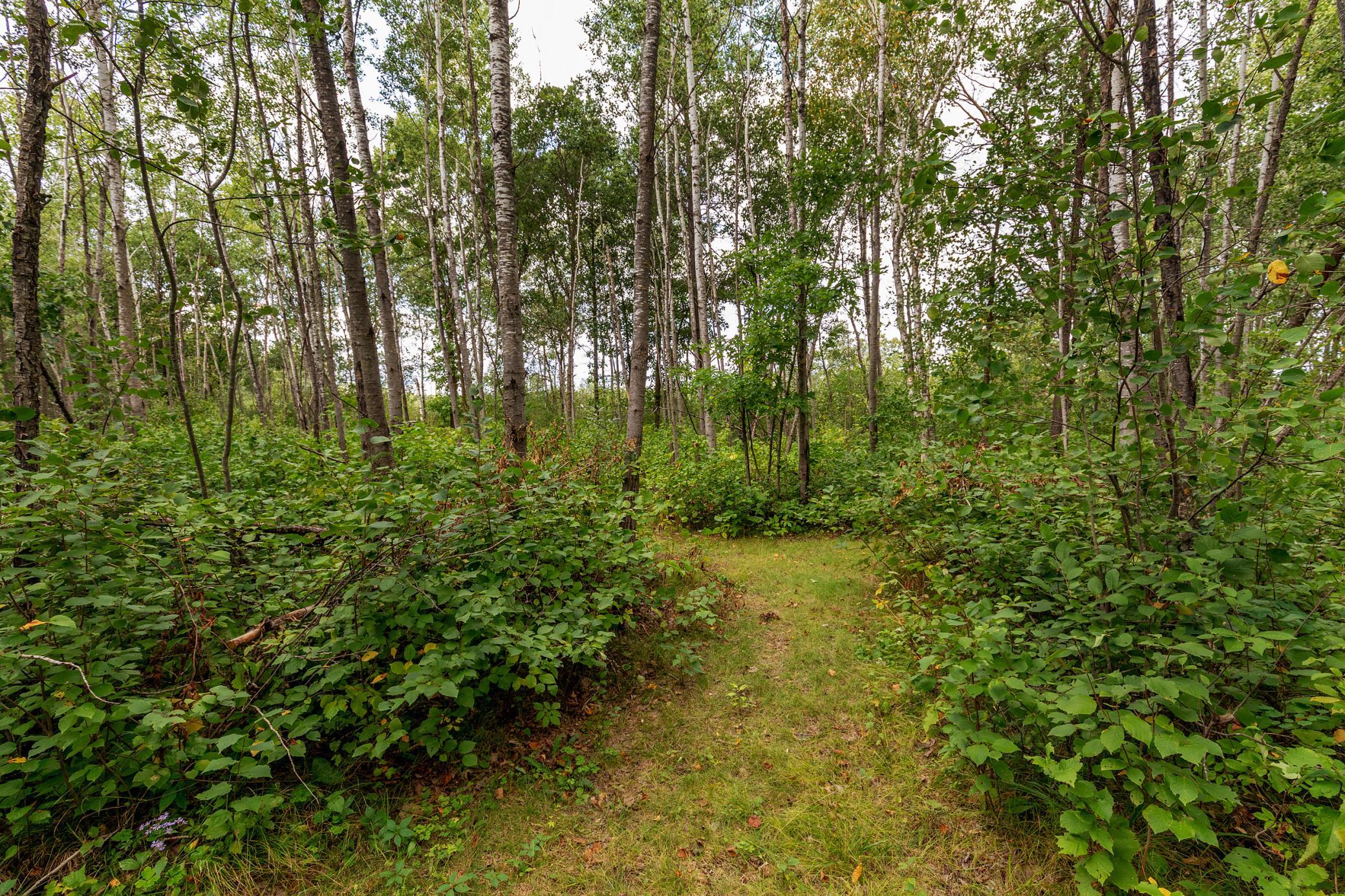 1970 single family home for sale at 22233 Wilderness Drive in Verndale, MN — 2 bed, 1 bath (photo 18 of 25)