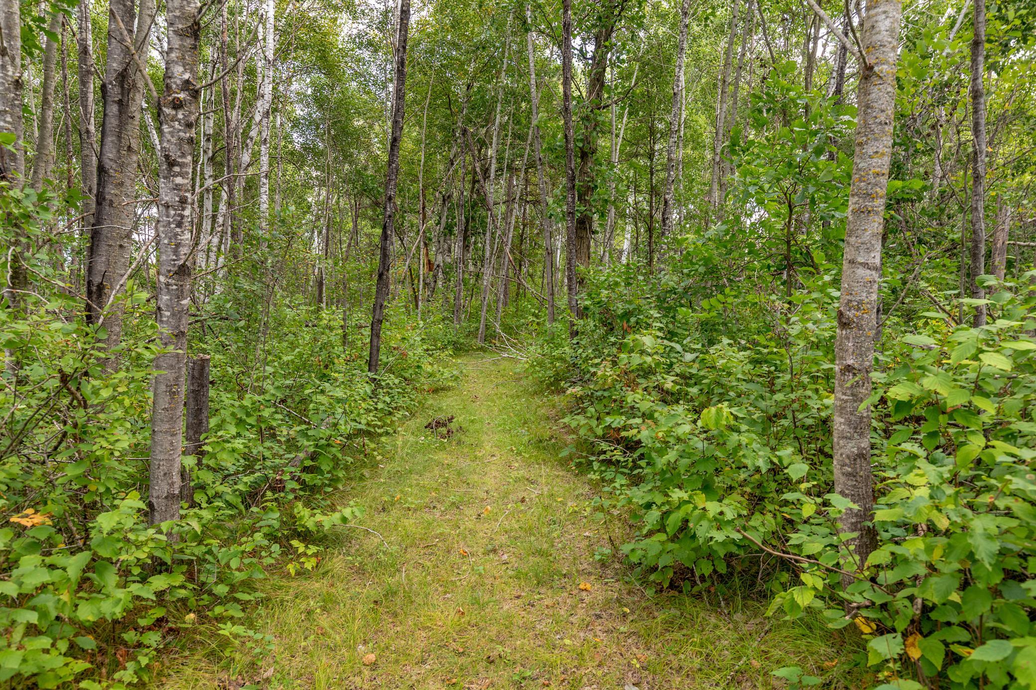 1970 single family home for sale at 22233 Wilderness Drive in Verndale, MN — 2 bed, 1 bath (photo 3 of 25)