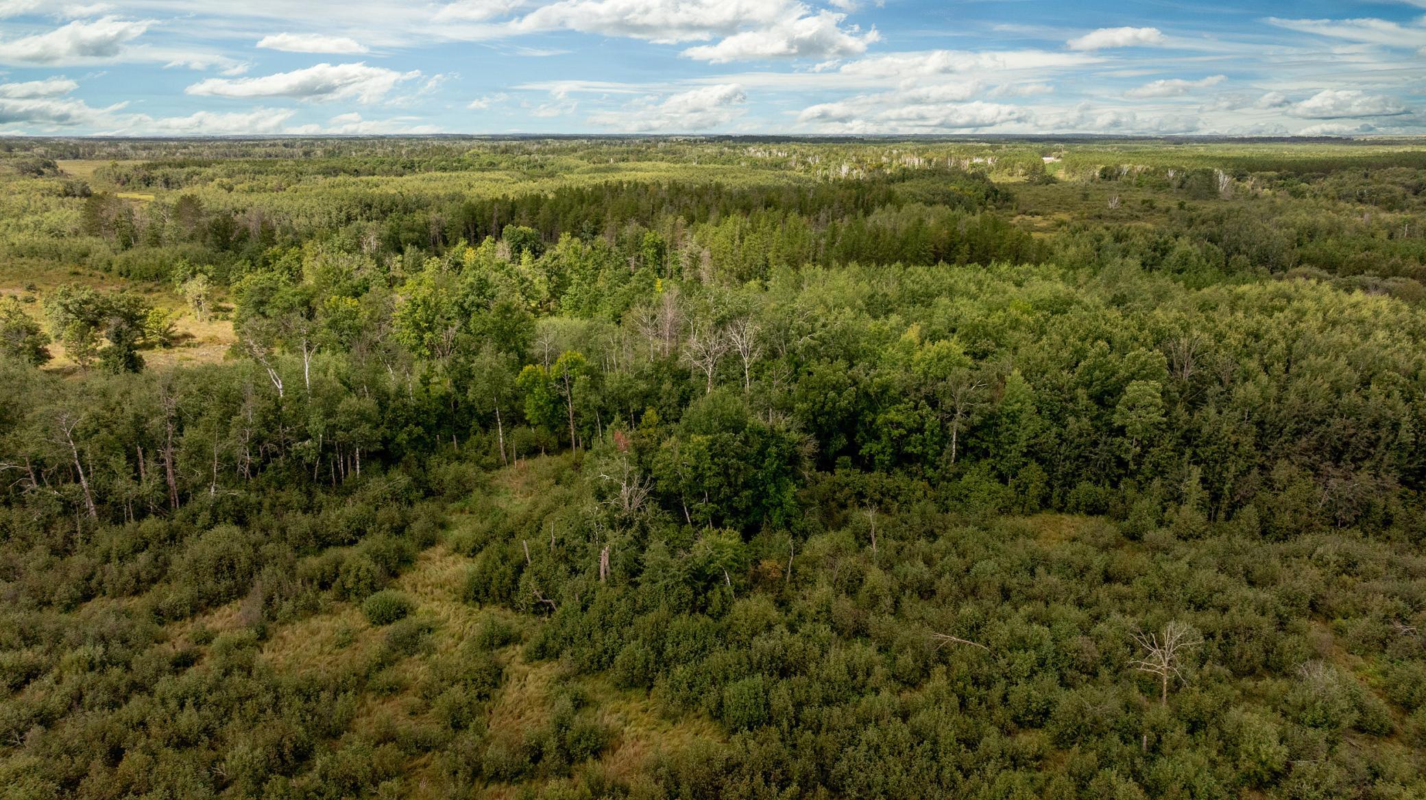 1970 single family home for sale at 22233 Wilderness Drive in Verndale, MN — 2 bed, 1 bath (photo 7 of 25)