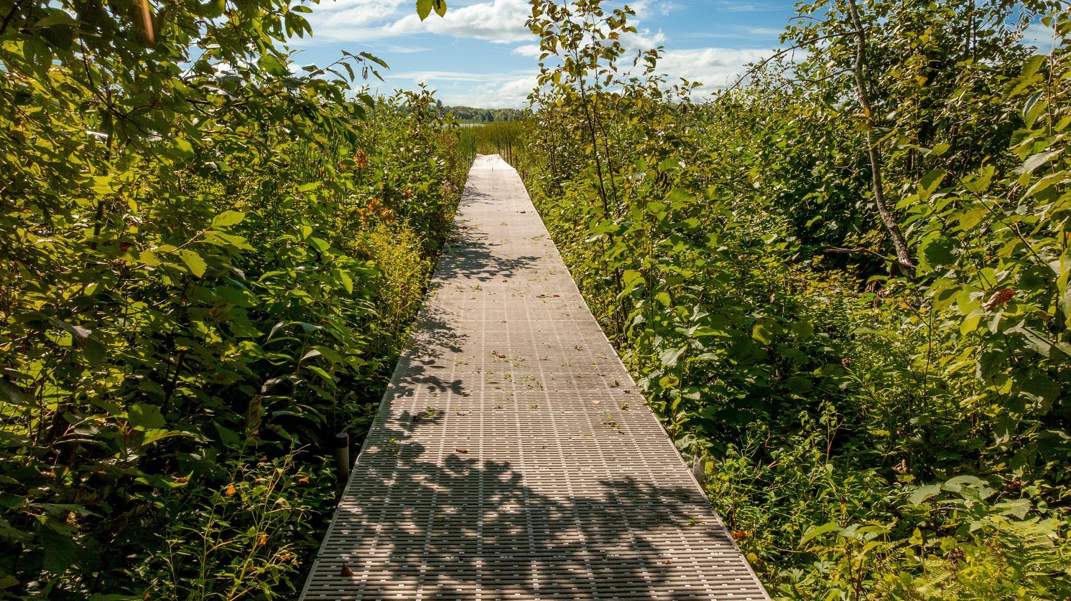land for sale at TBD Lantern Lane in Hackensack, MN (photo 15 of 20)