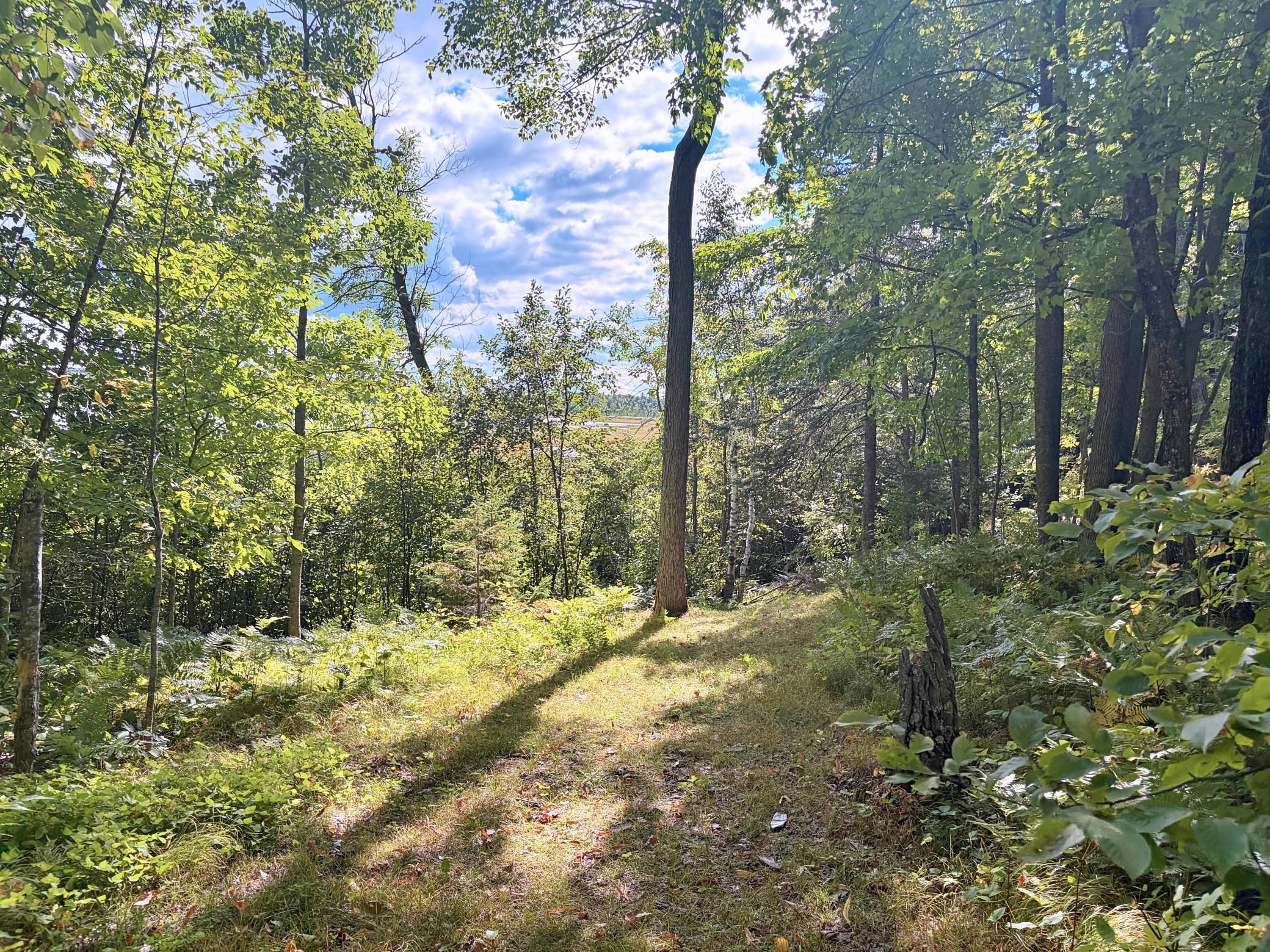 land for sale at TBD Lantern Lane in Hackensack, MN (photo 5 of 20)
