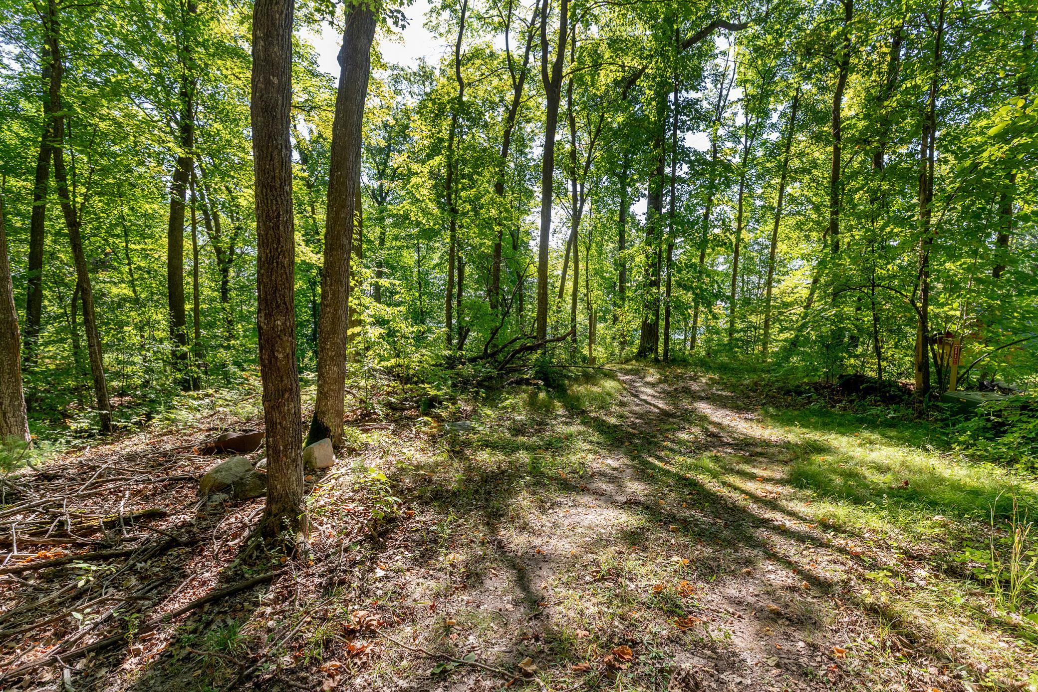 land for sale at TBD Lantern Lane in Hackensack, MN (photo 6 of 20)
