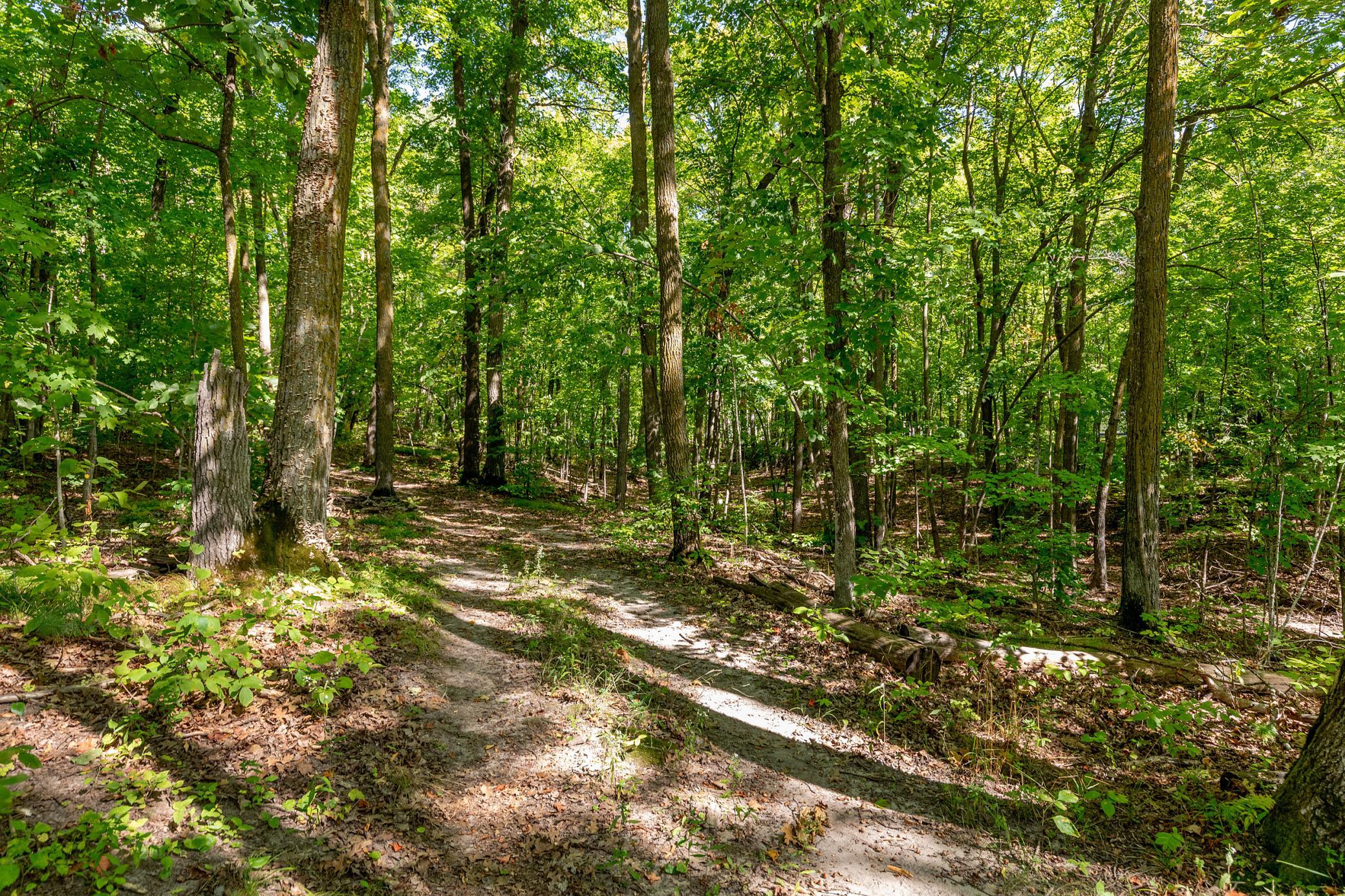 land for sale at TBD Lantern Lane in Hackensack, MN (photo 7 of 20)