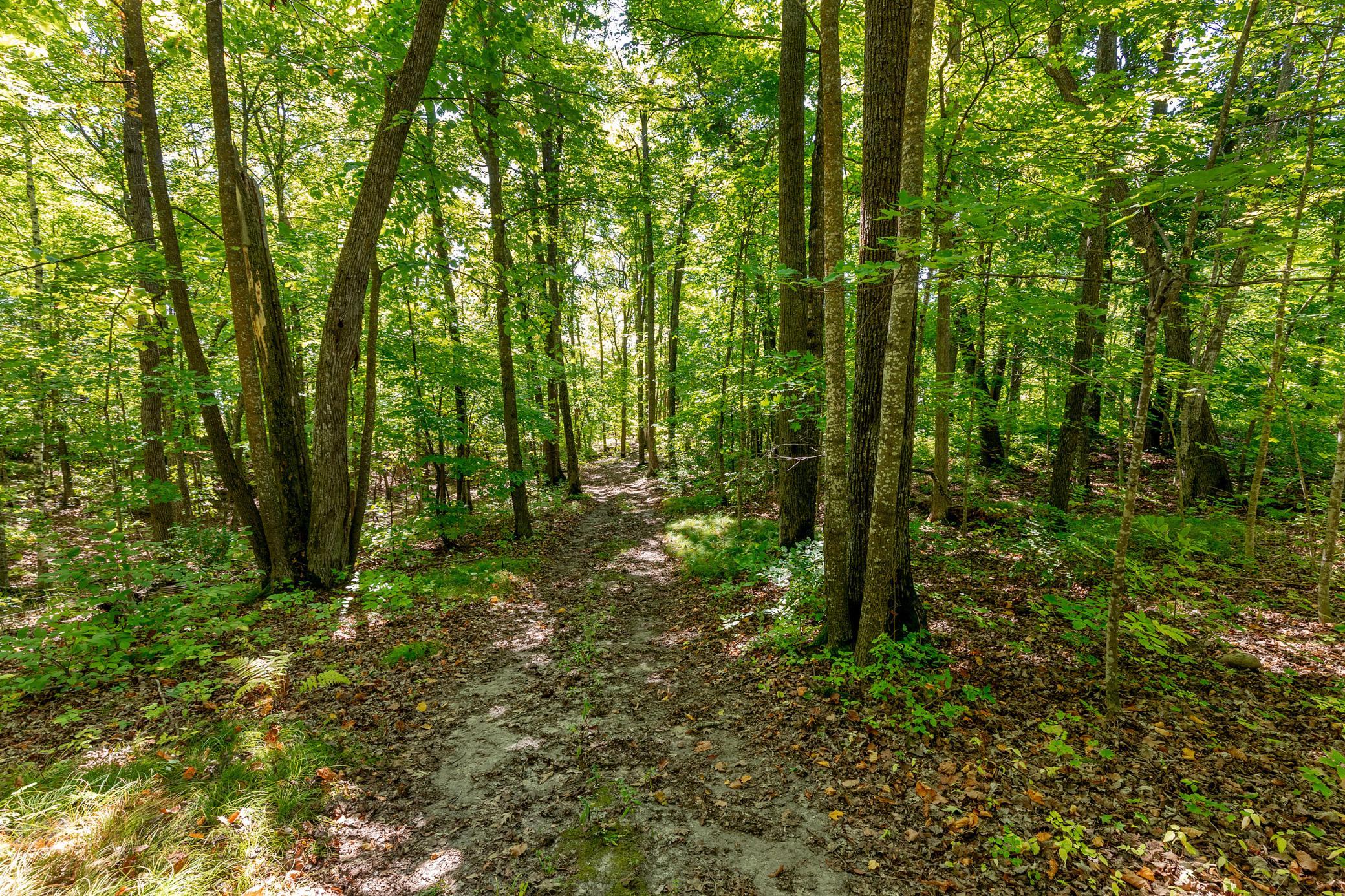 land for sale at TBD Lantern Lane in Hackensack, MN (photo 8 of 20)