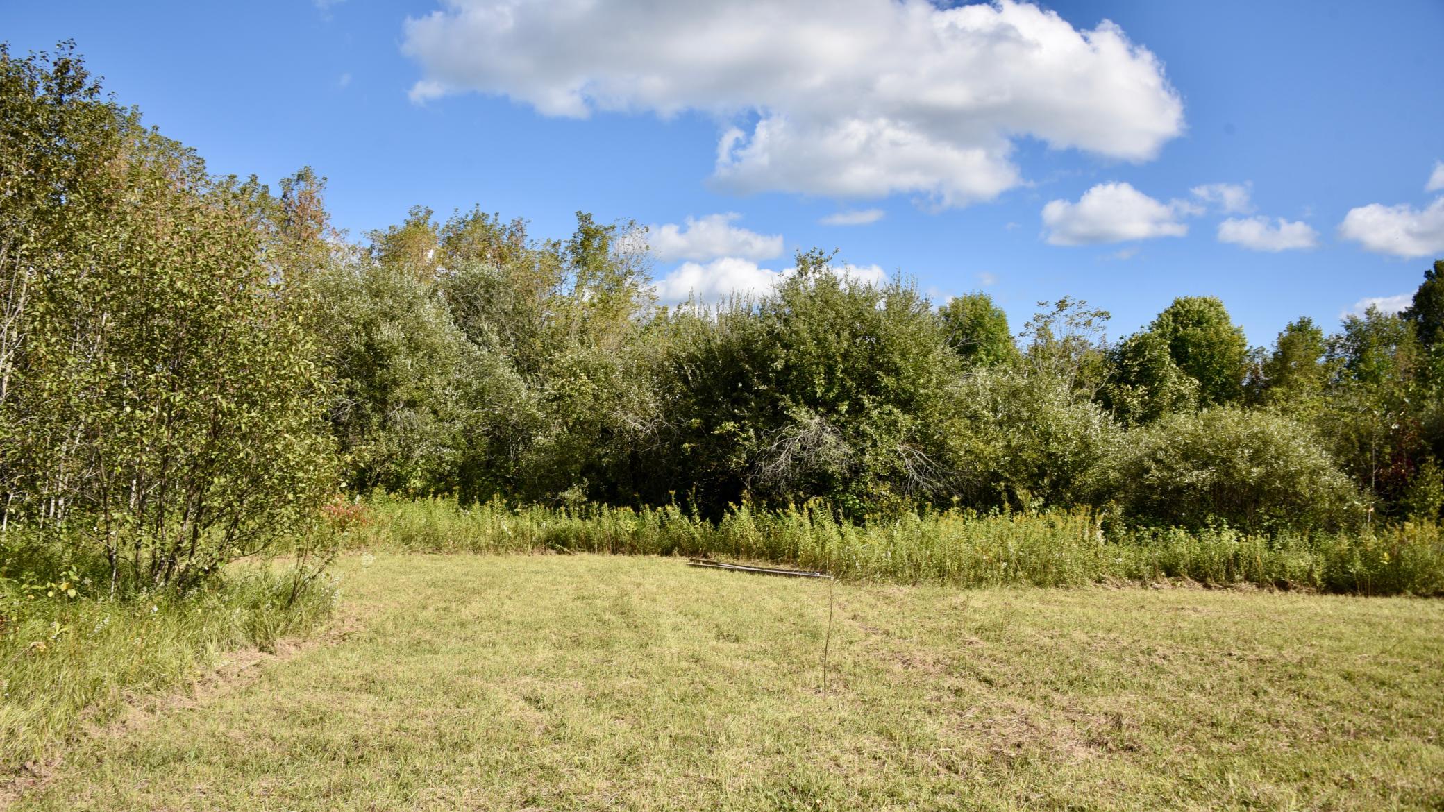 land for sale at TBD 480th/Cty Rd 3 Street in Palisade, MN (photo 13 of 45)