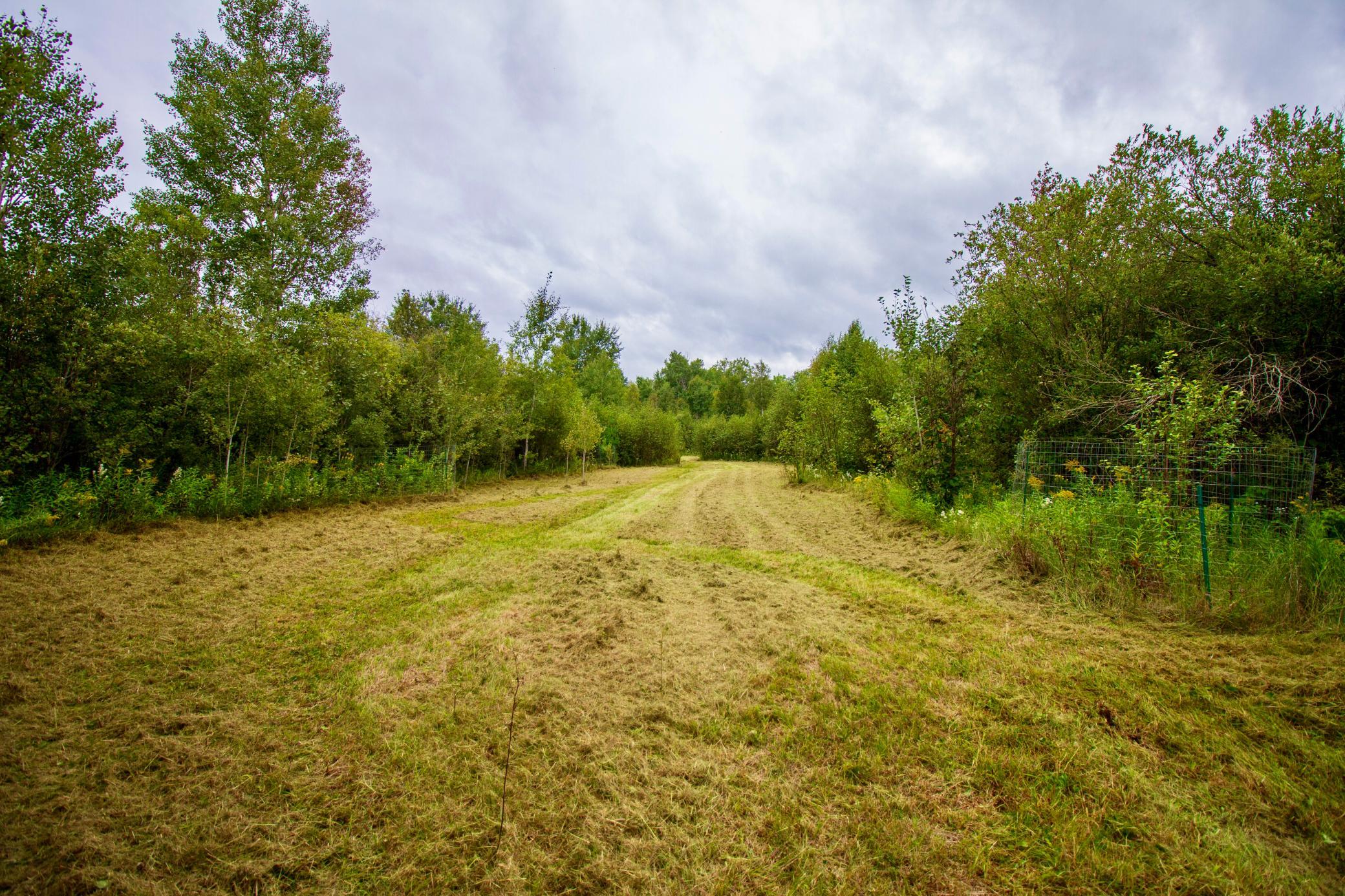 land for sale at TBD 480th/Cty Rd 3 Street in Palisade, MN (photo 15 of 45)