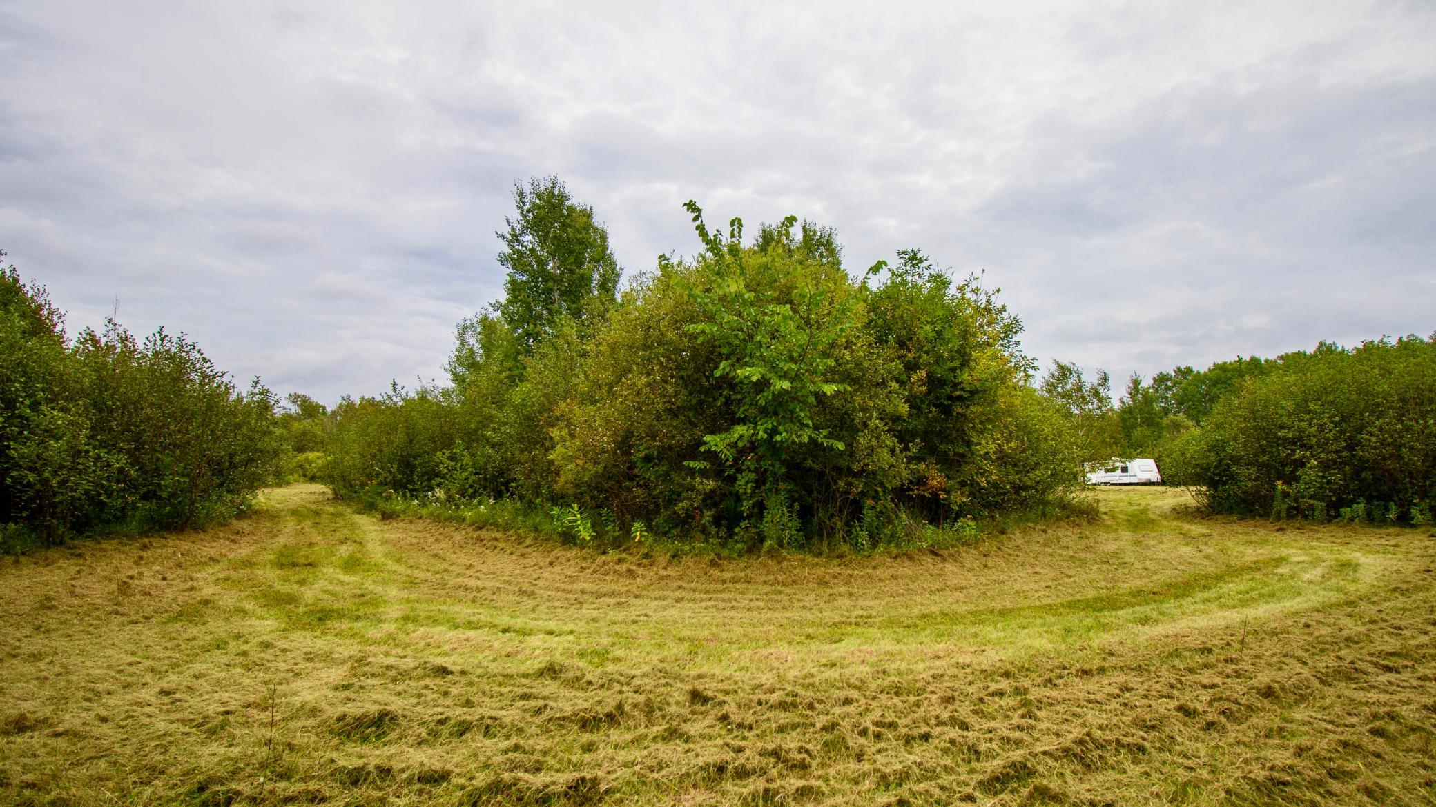 land for sale at TBD 480th/Cty Rd 3 Street in Palisade, MN (photo 16 of 45)