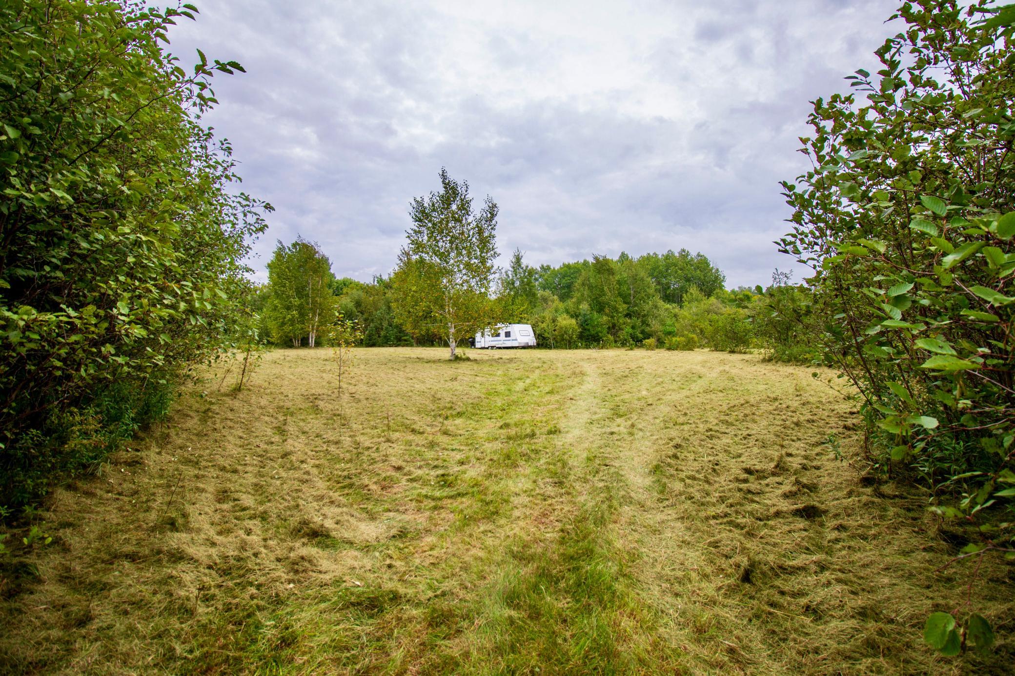 land for sale at TBD 480th/Cty Rd 3 Street in Palisade, MN (photo 17 of 45)