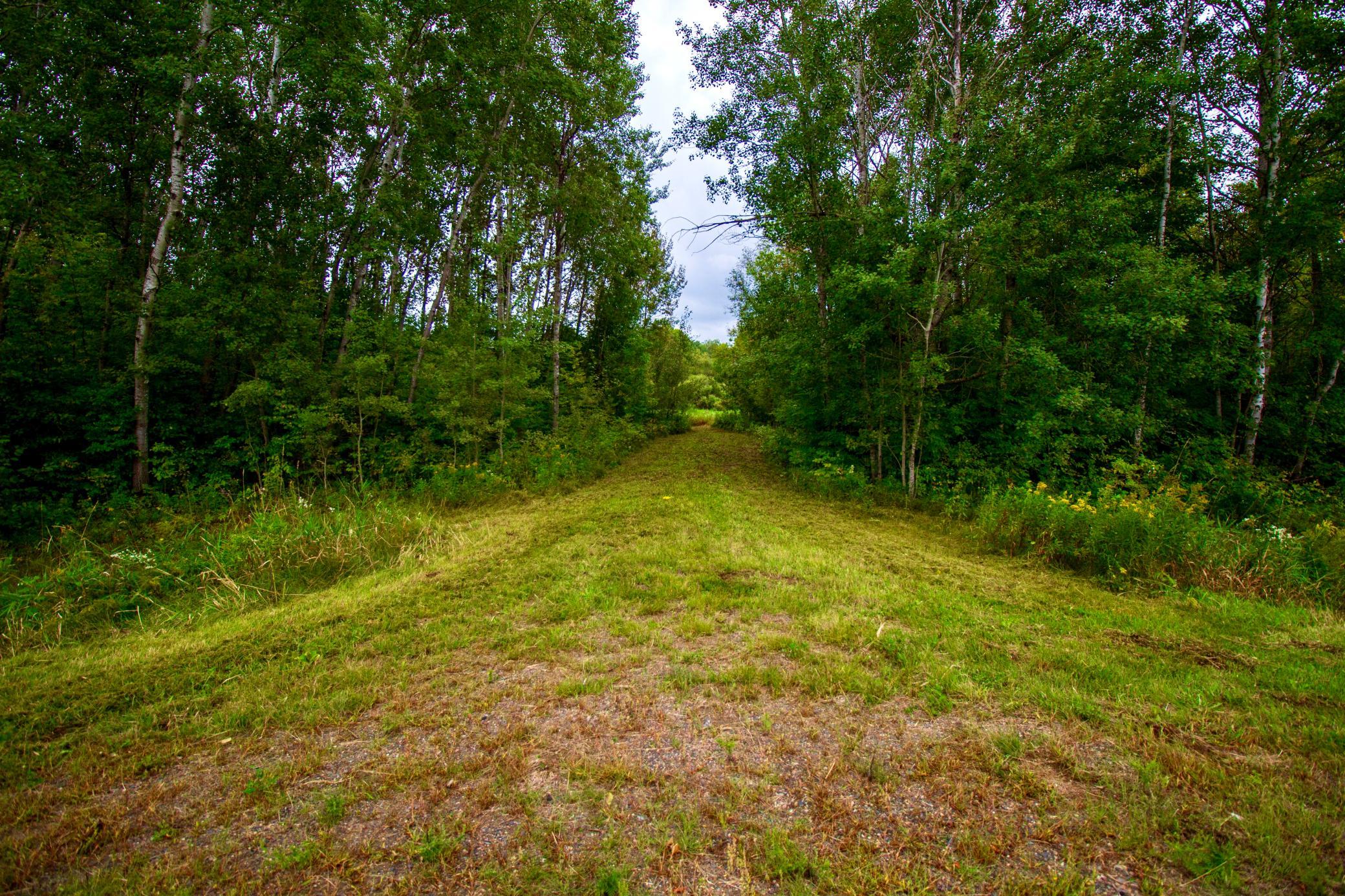 land for sale at TBD 480th/Cty Rd 3 Street in Palisade, MN (photo 3 of 45)