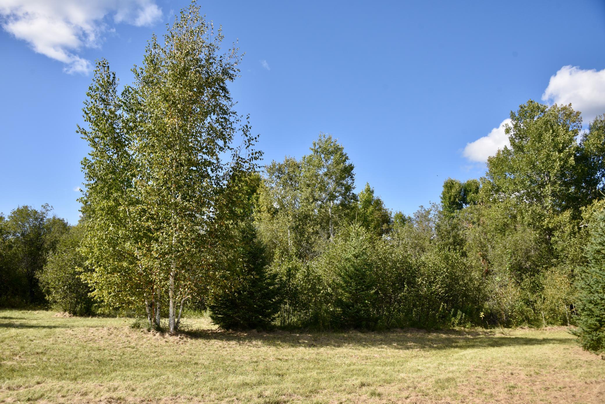 land for sale at TBD 480th/Cty Rd 3 Street in Palisade, MN (photo 22 of 45)