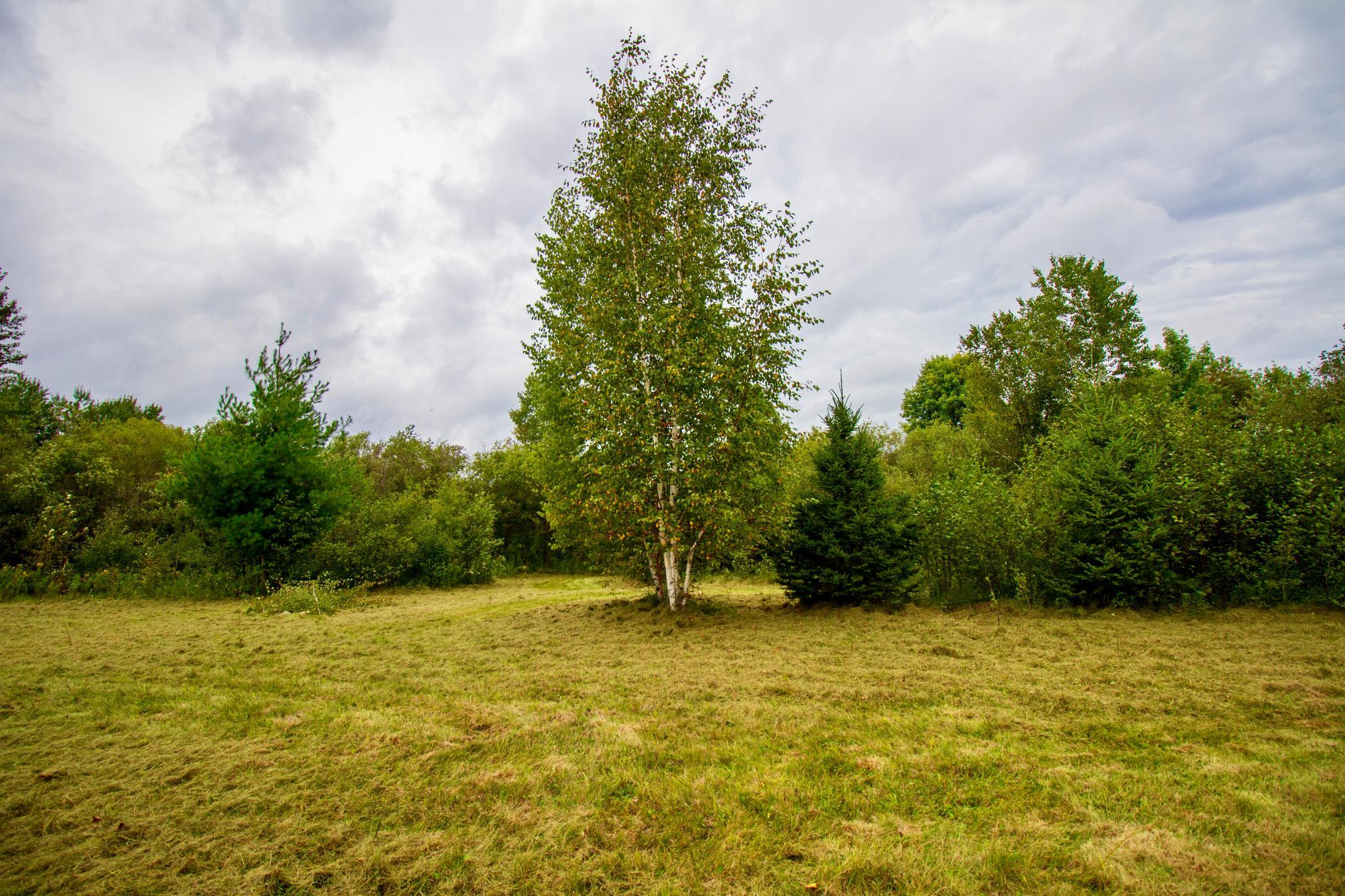 land for sale at TBD 480th/Cty Rd 3 Street in Palisade, MN (photo 23 of 45)