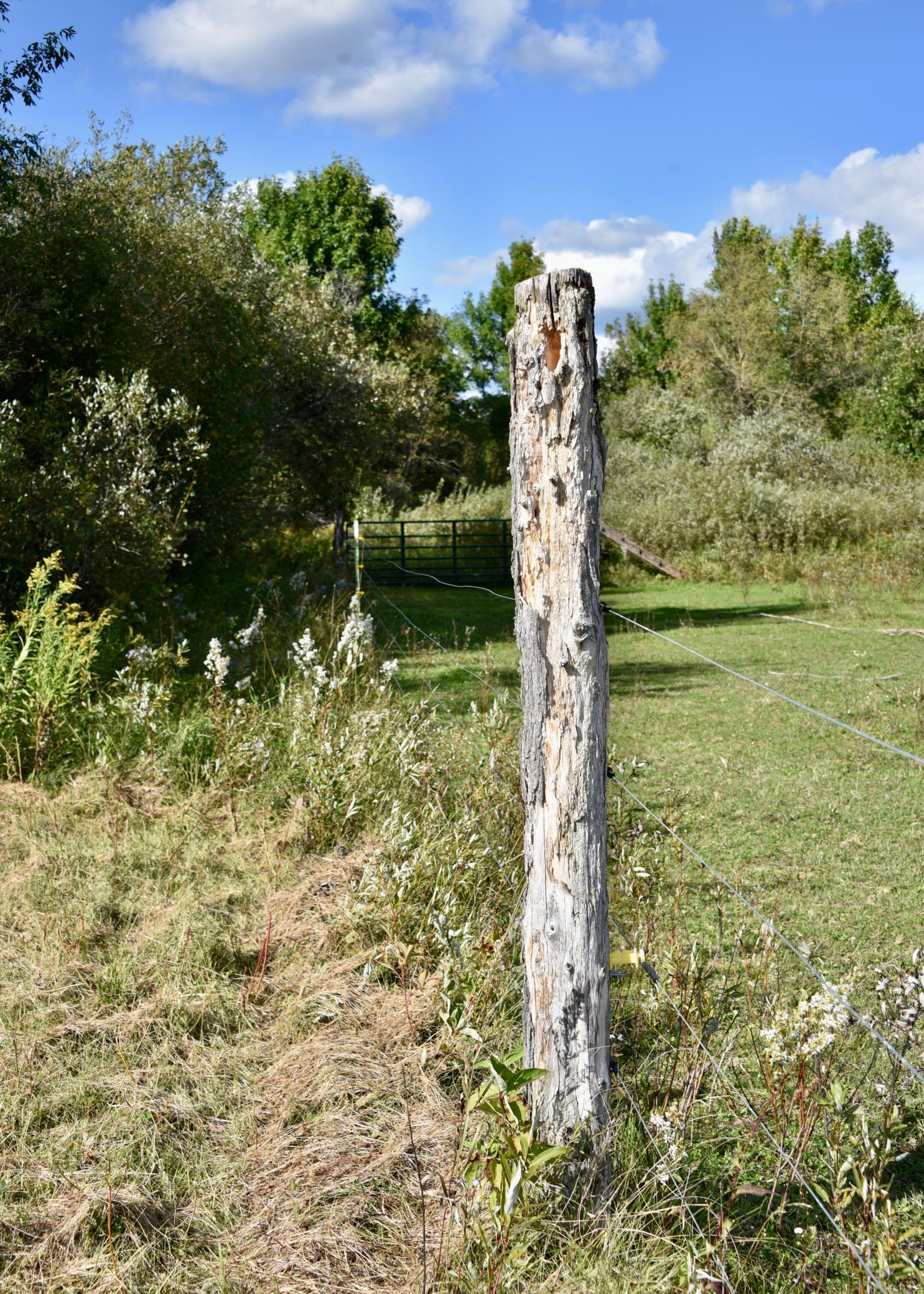 land for sale at TBD 480th/Cty Rd 3 Street in Palisade, MN (photo 29 of 45)