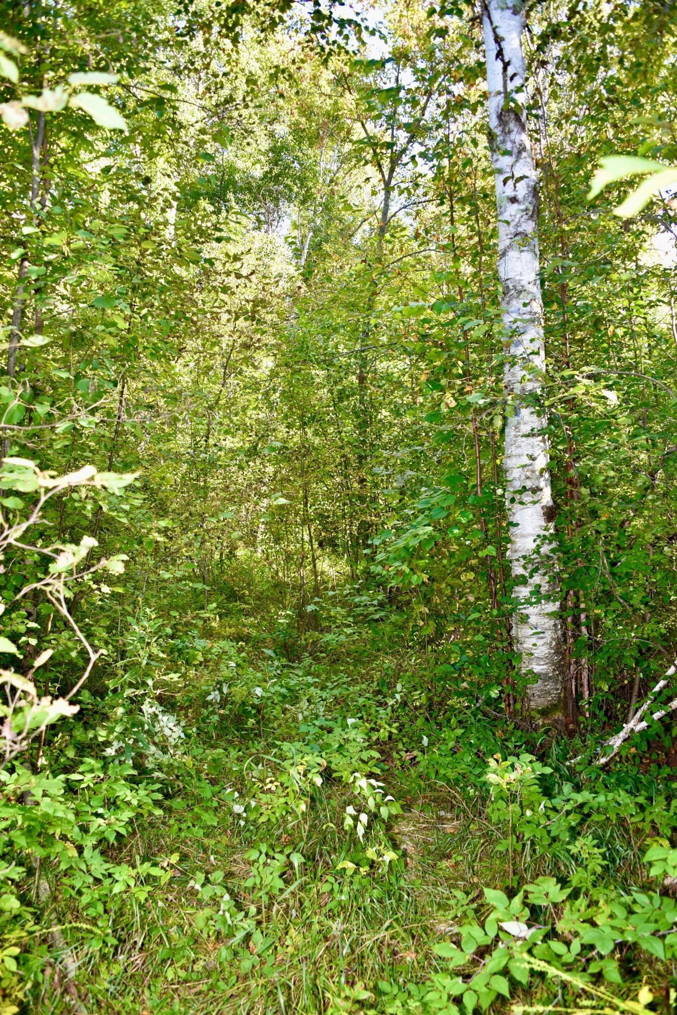 land for sale at TBD 480th/Cty Rd 3 Street in Palisade, MN (photo 30 of 45)