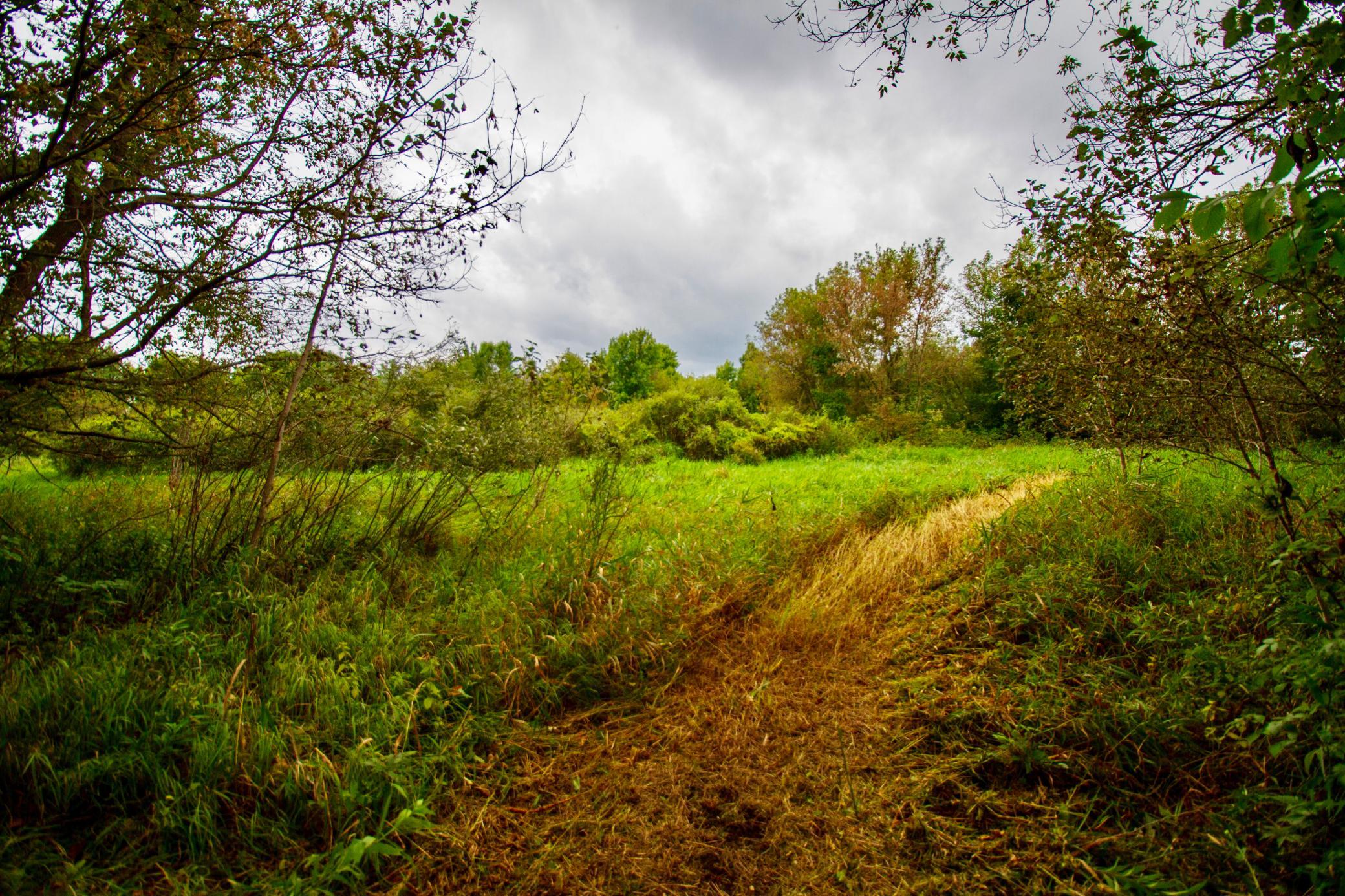 land for sale at TBD 480th/Cty Rd 3 Street in Palisade, MN (photo 4 of 45)