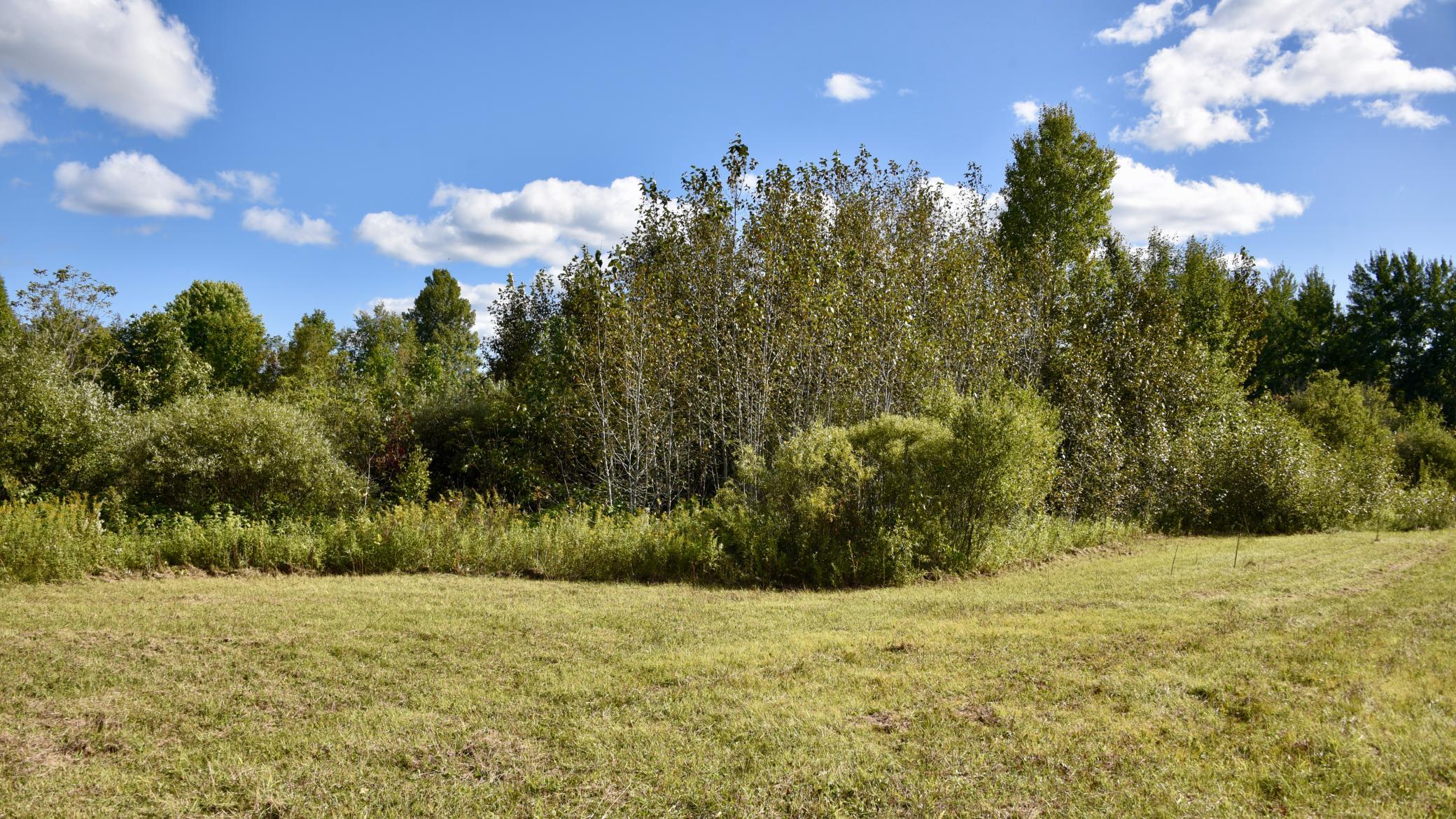 land for sale at TBD 480th/Cty Rd 3 Street in Palisade, MN (photo 40 of 45)