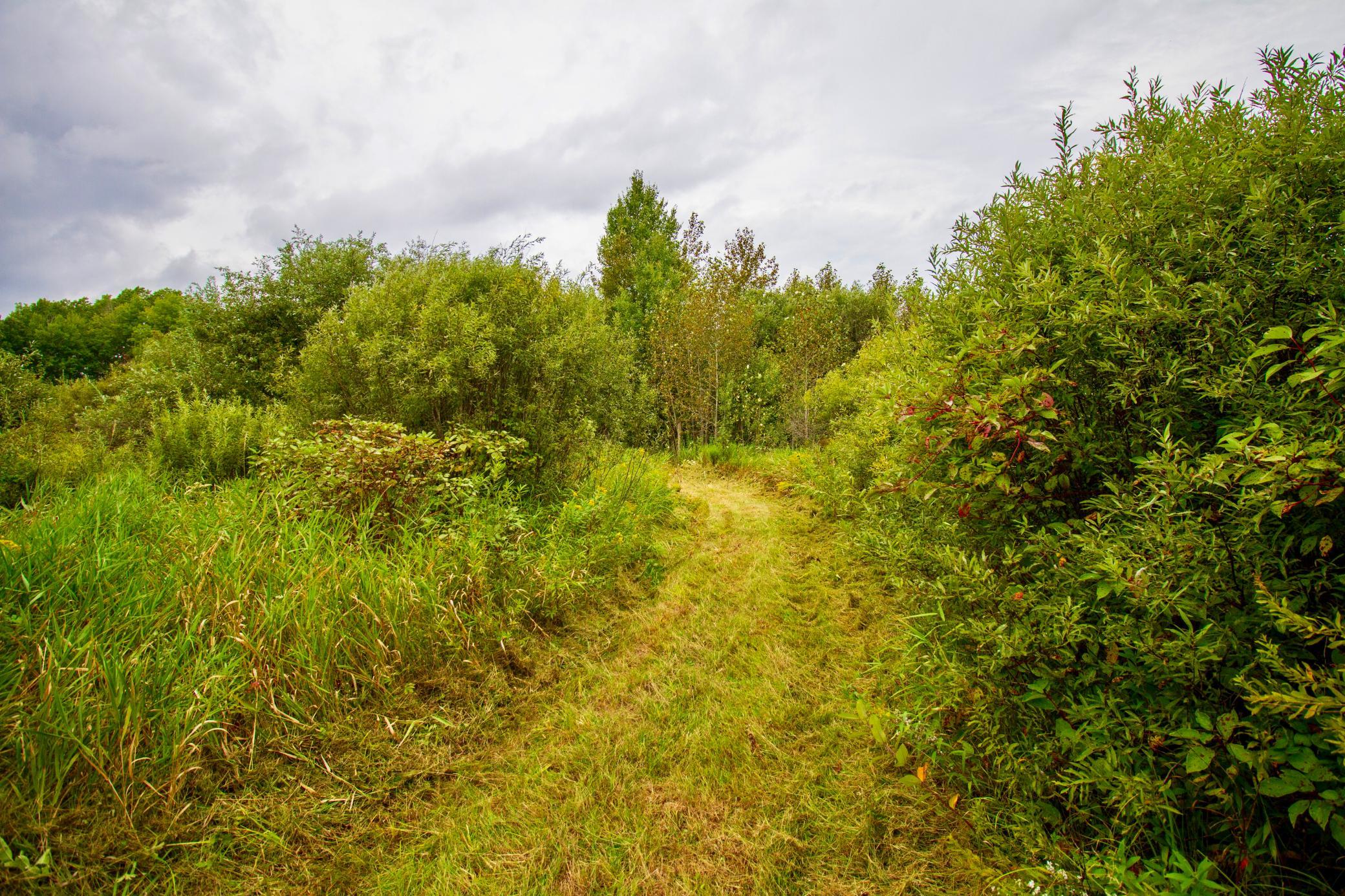 land for sale at TBD 480th/Cty Rd 3 Street in Palisade, MN (photo 5 of 45)
