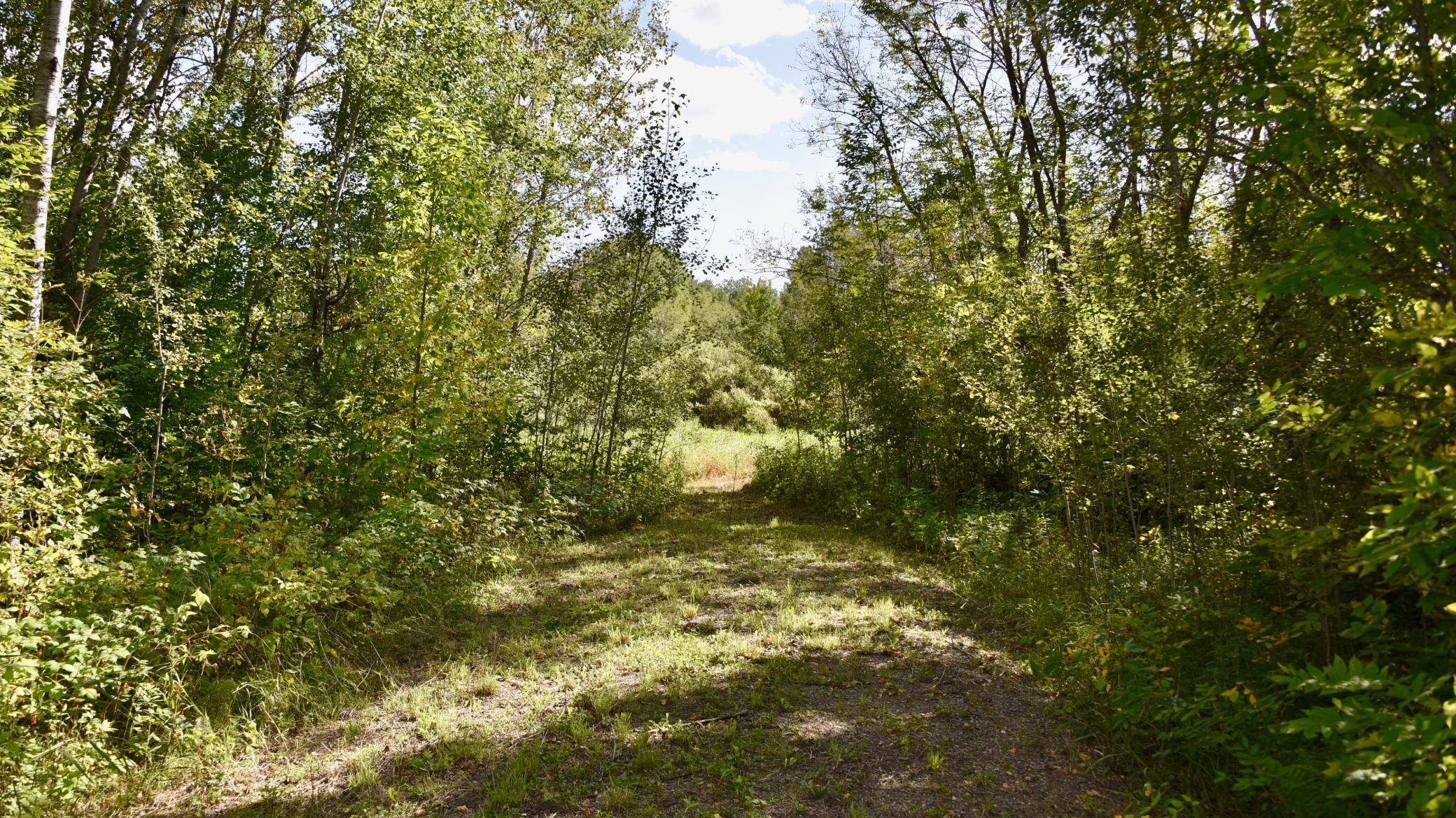 land for sale at TBD 480th/Cty Rd 3 Street in Palisade, MN (photo 43 of 45)
