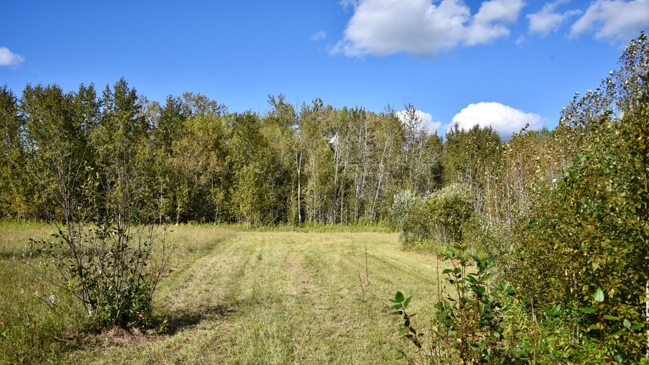 land for sale at TBD 480th/Cty Rd 3 Street in Palisade, MN (photo 8 of 45)