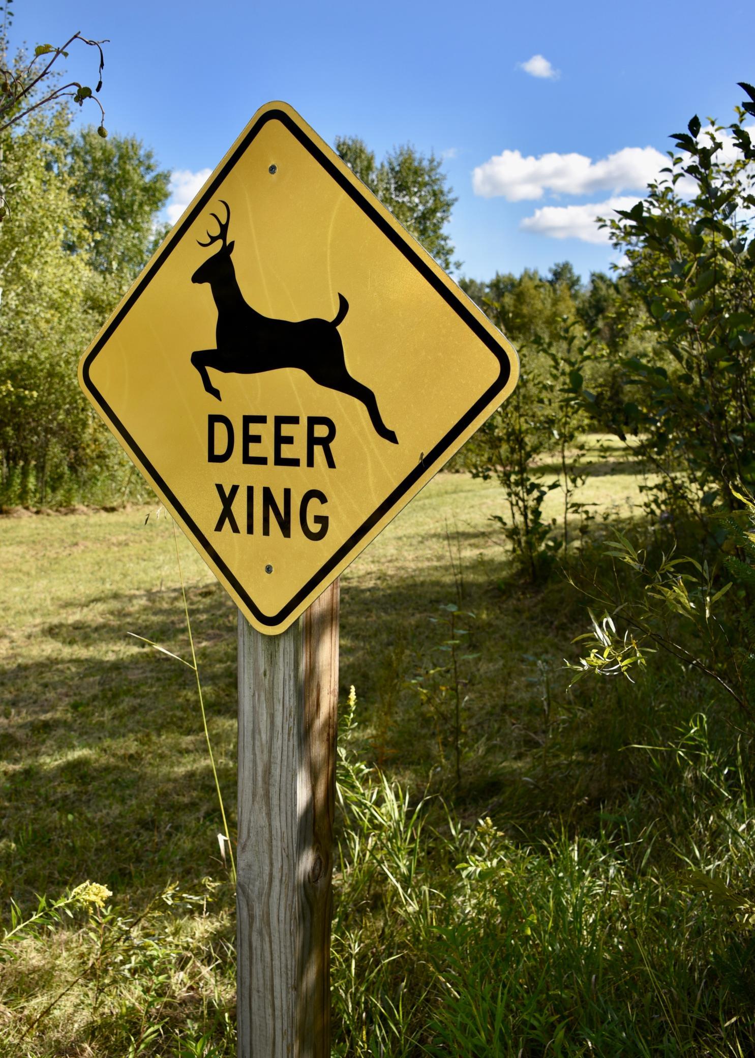 land for sale at TBD 480th/Cty Rd 3 Street in Palisade, MN (photo 9 of 45)
