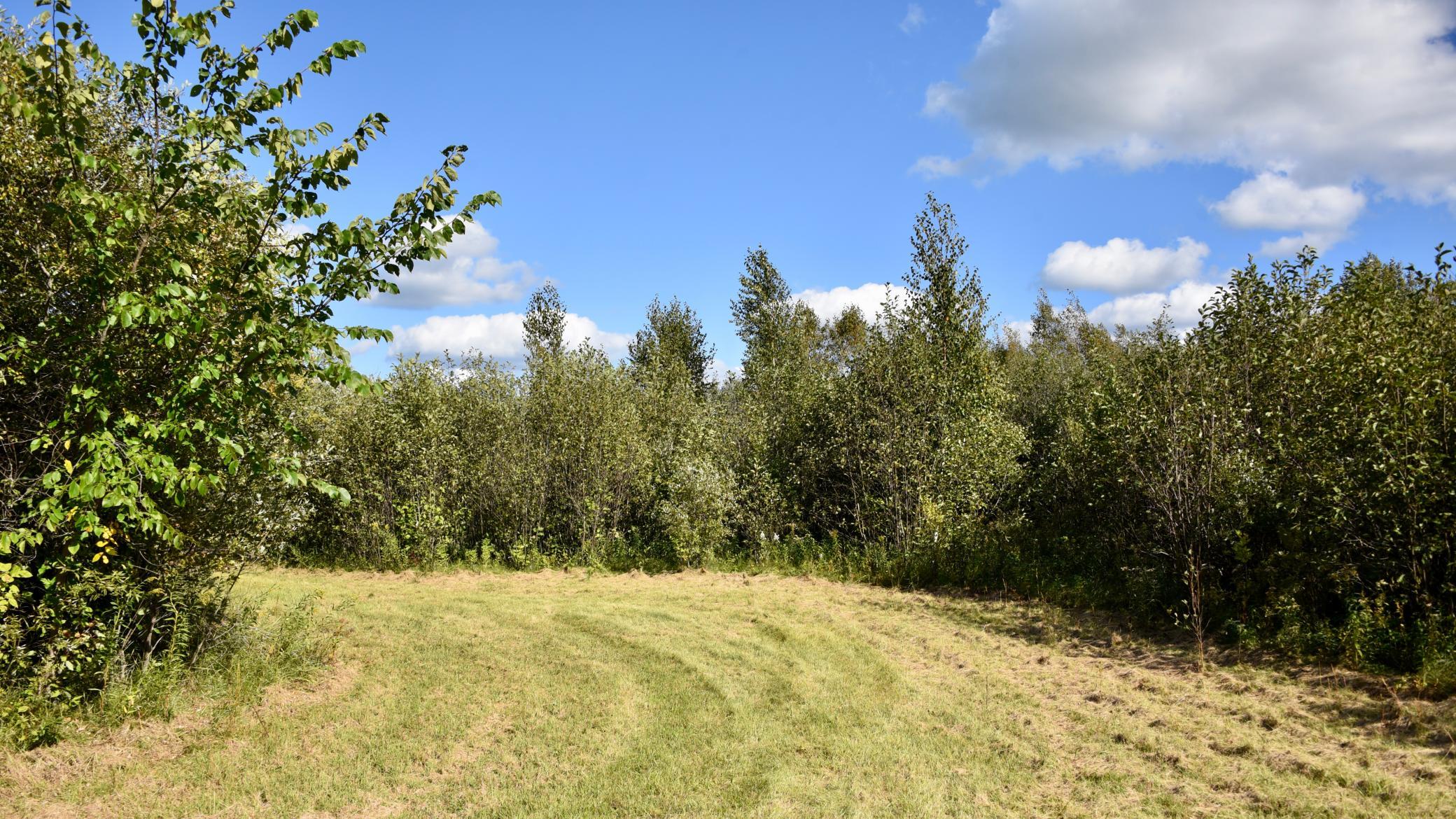 land for sale at TBD 480th/Cty Rd 3 Street in Palisade, MN (photo 10 of 45)