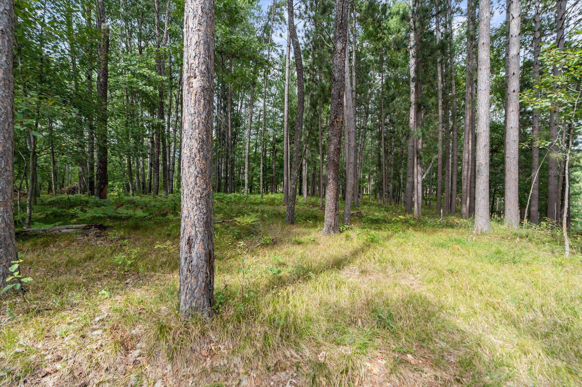 2003 single family home for sale at 36130 Butternut Point Road in Pequot Lakes, MN — 4 bed, 3 bath (photo 53 of 59)
