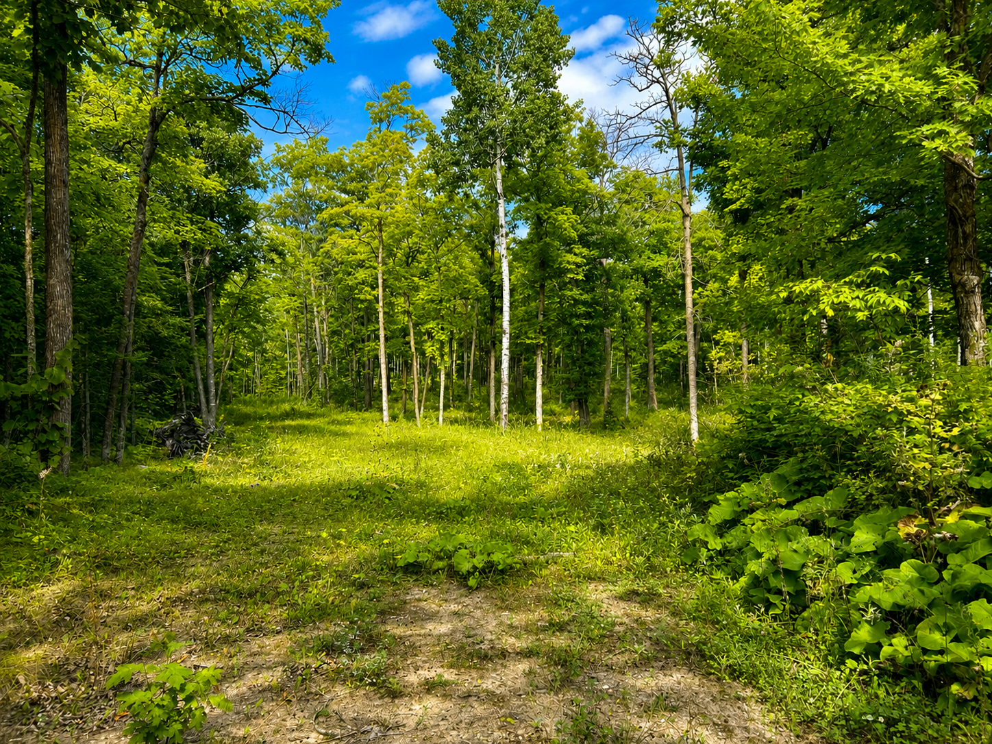 2022 single family home for sale at 40816 181st Ave in Clearbrook, MN — 3 bed, 2 bath (photo 24 of 27)