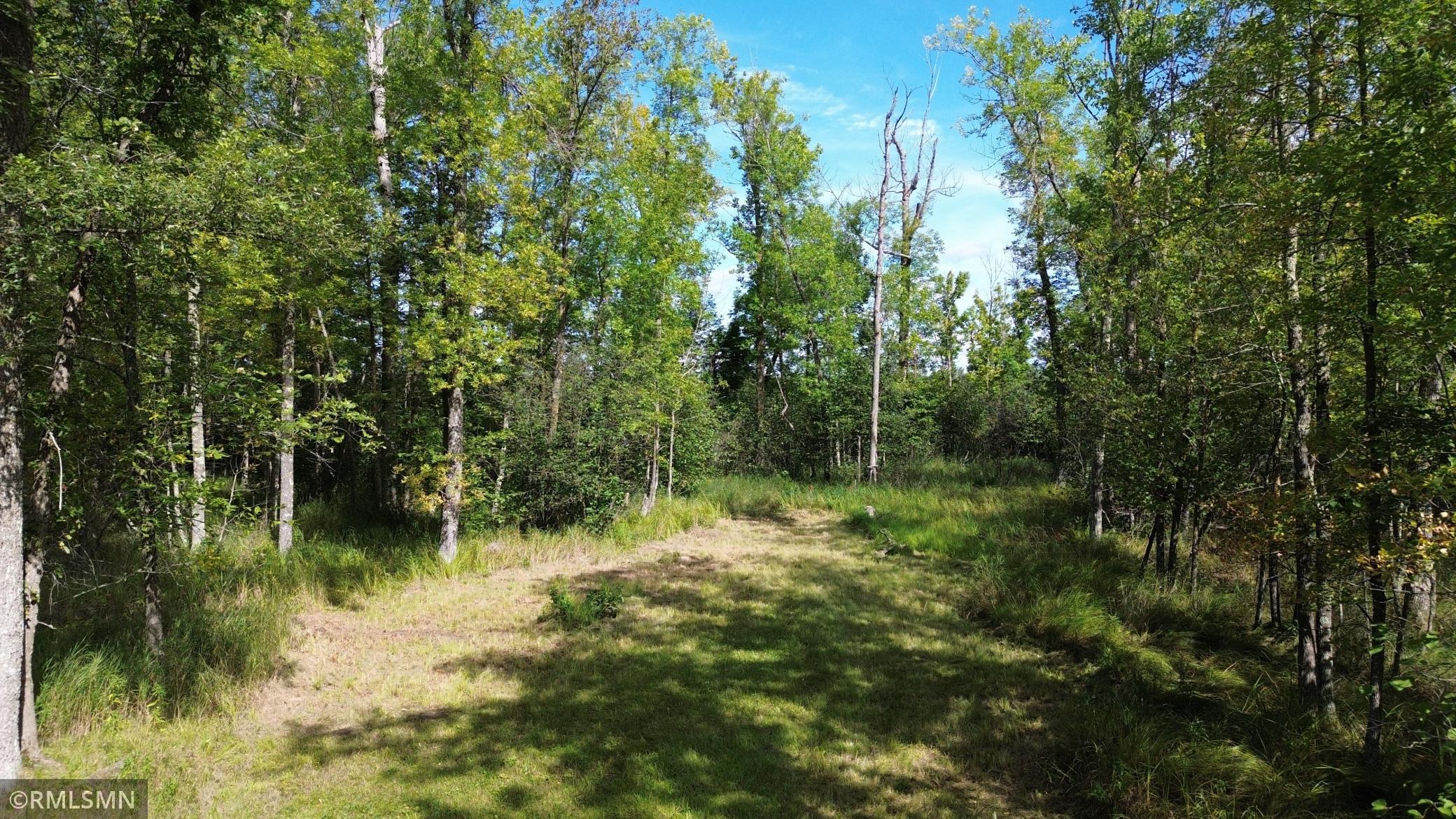 land for sale at TBD Sheshebe Road in McGregor, MN (photo 2 of 16)