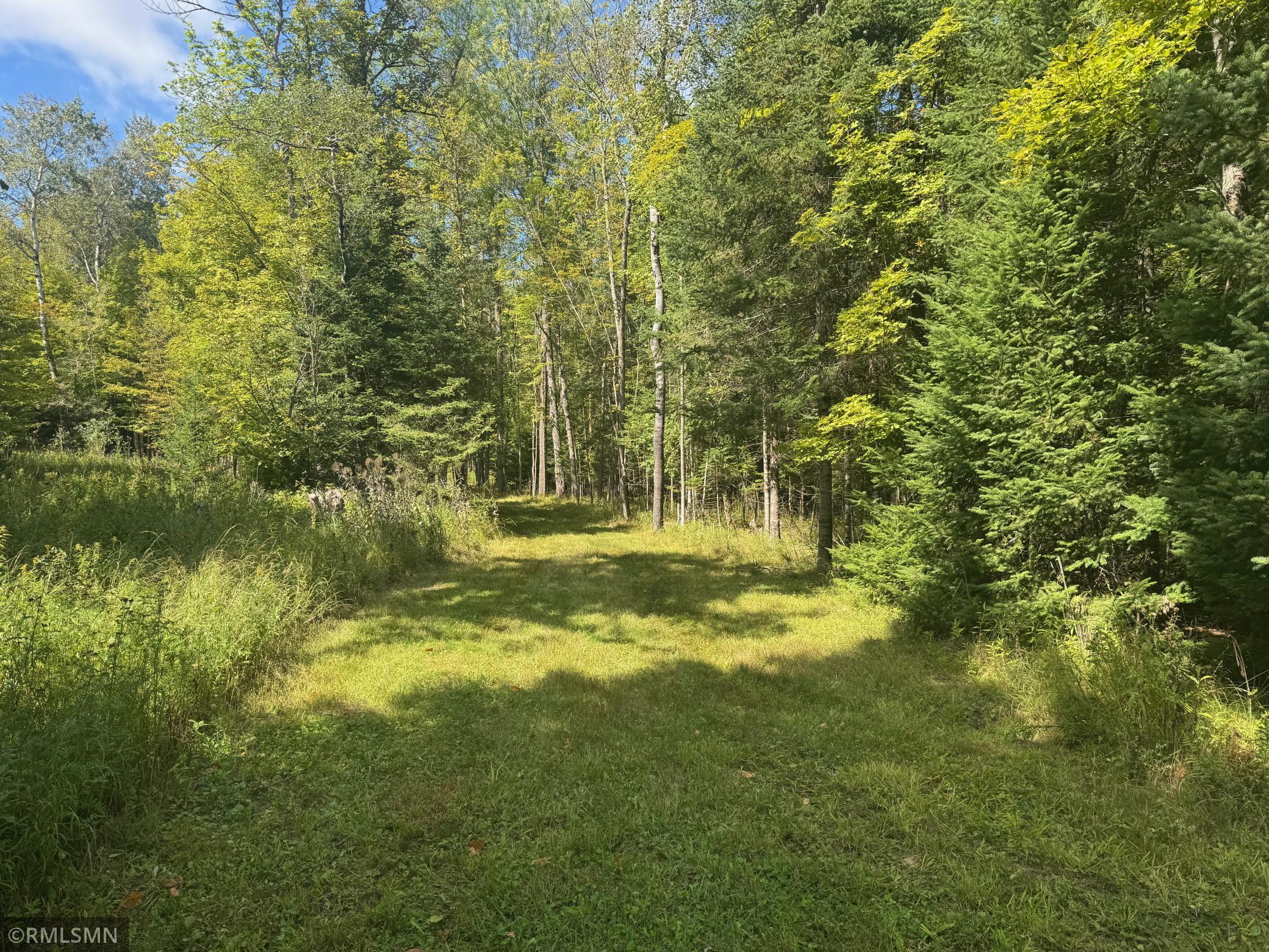 land for sale at TBD Sheshebe Road in McGregor, MN (photo 11 of 16)