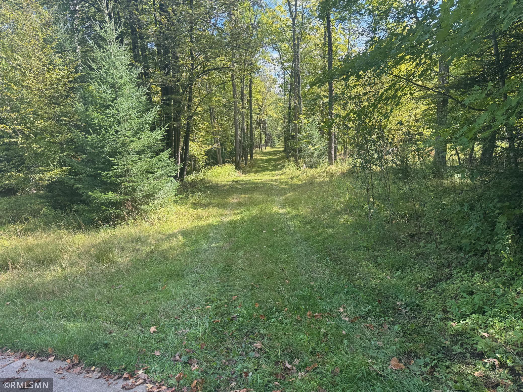 land for sale at TBD Sheshebe Road in McGregor, MN (photo 12 of 16)