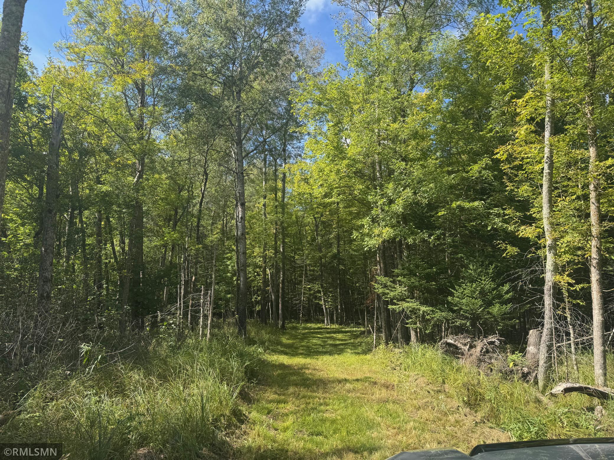 land for sale at TBD Sheshebe Road in McGregor, MN (photo 13 of 16)