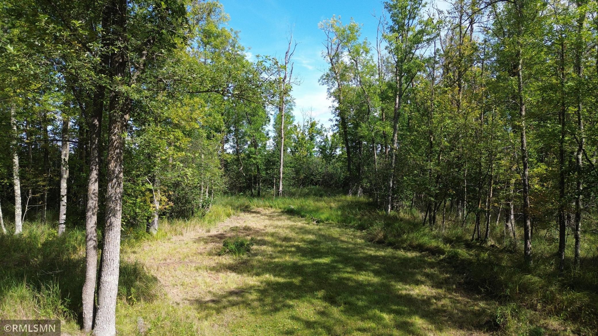 land for sale at TBD Sheshebe Road in McGregor, MN (photo 14 of 16)