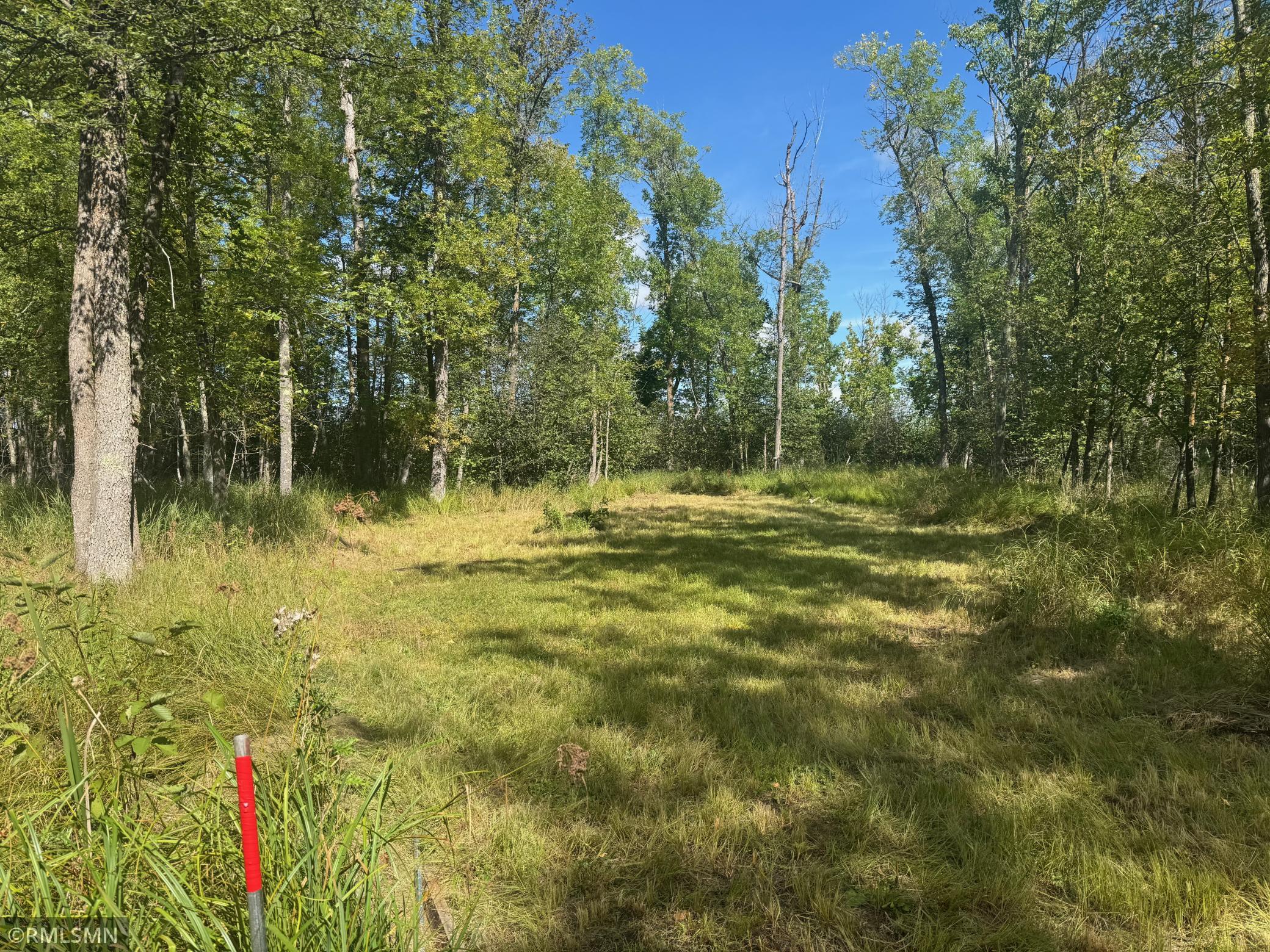 land for sale at TBD Sheshebe Road in McGregor, MN (photo 3 of 16)