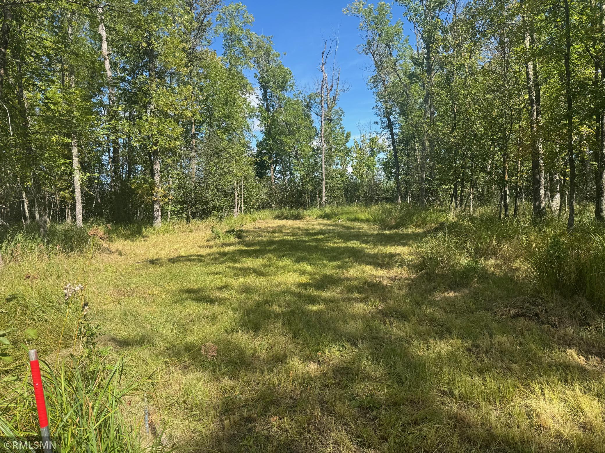 land for sale at TBD Sheshebe Road in McGregor, MN (photo 4 of 16)