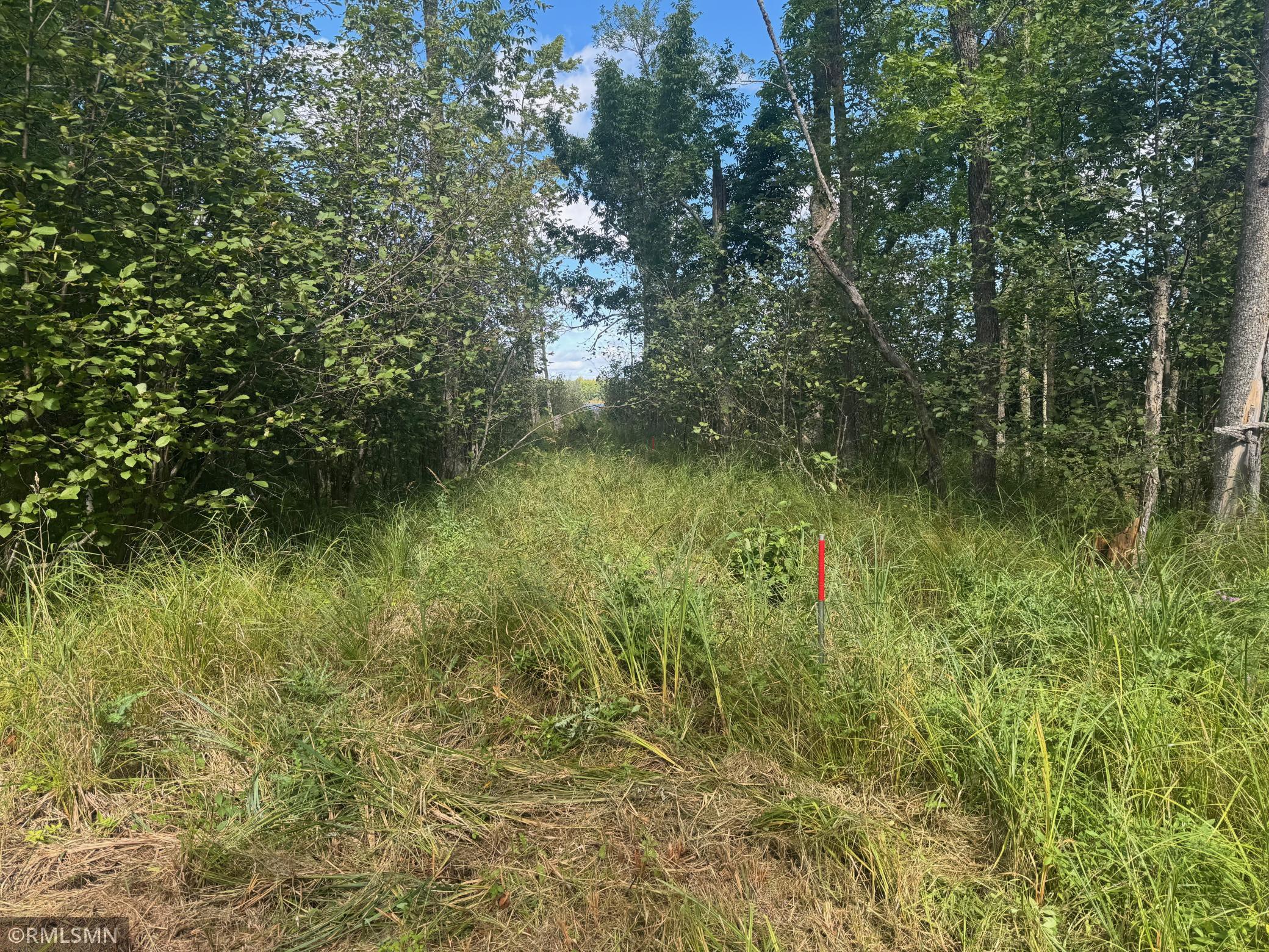 land for sale at TBD Sheshebe Road in McGregor, MN (photo 5 of 16)