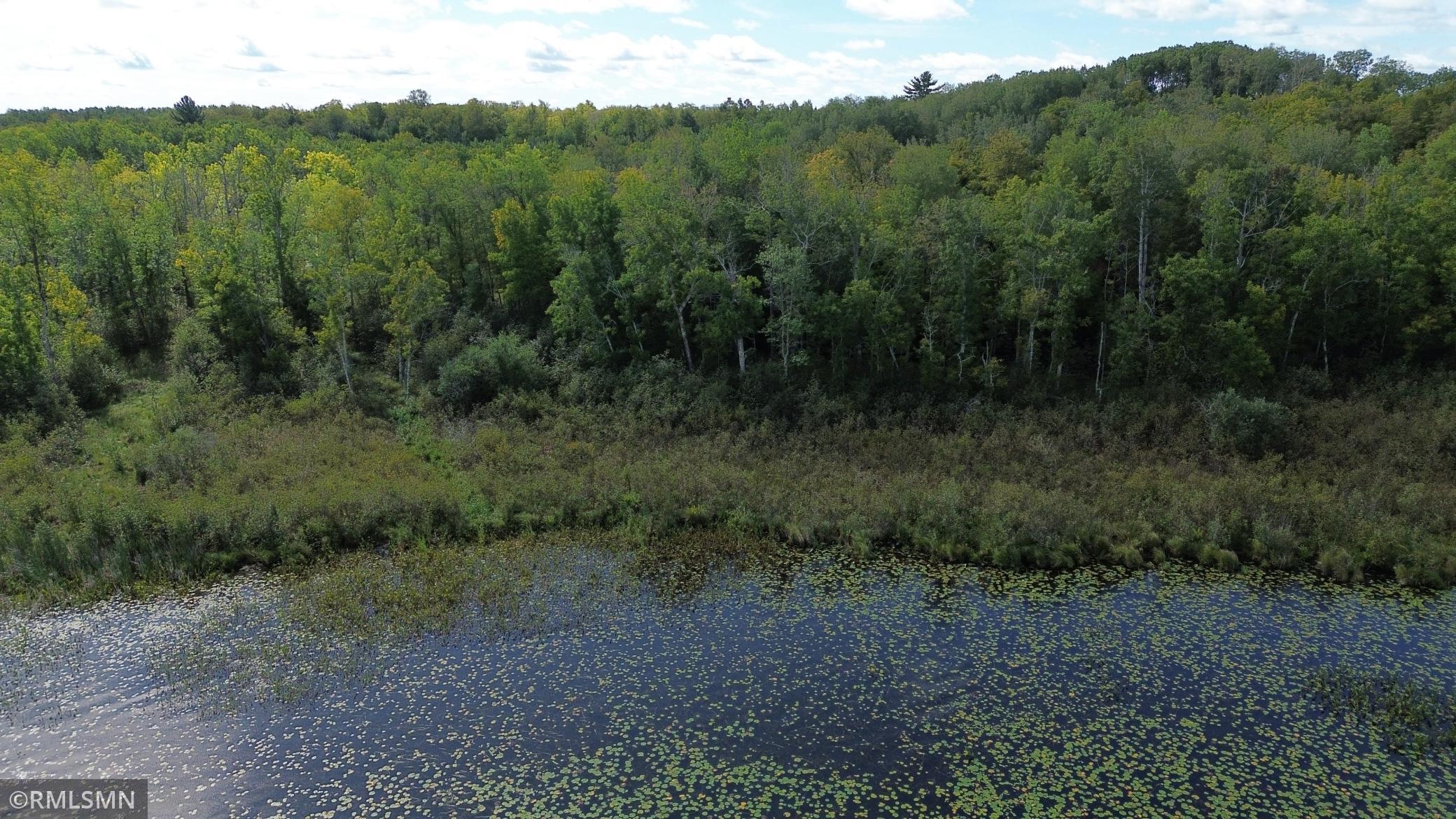 land for sale at TBD Sheshebe Road in McGregor, MN (photo 7 of 16)