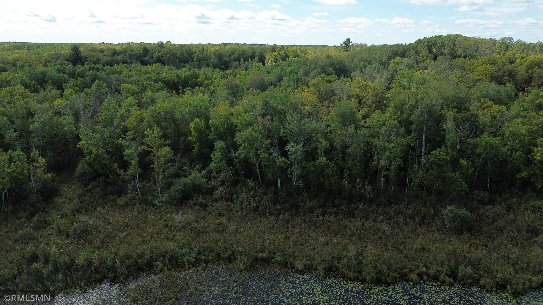 land for sale at TBD Sheshebe Road in McGregor, MN (photo 8 of 16)