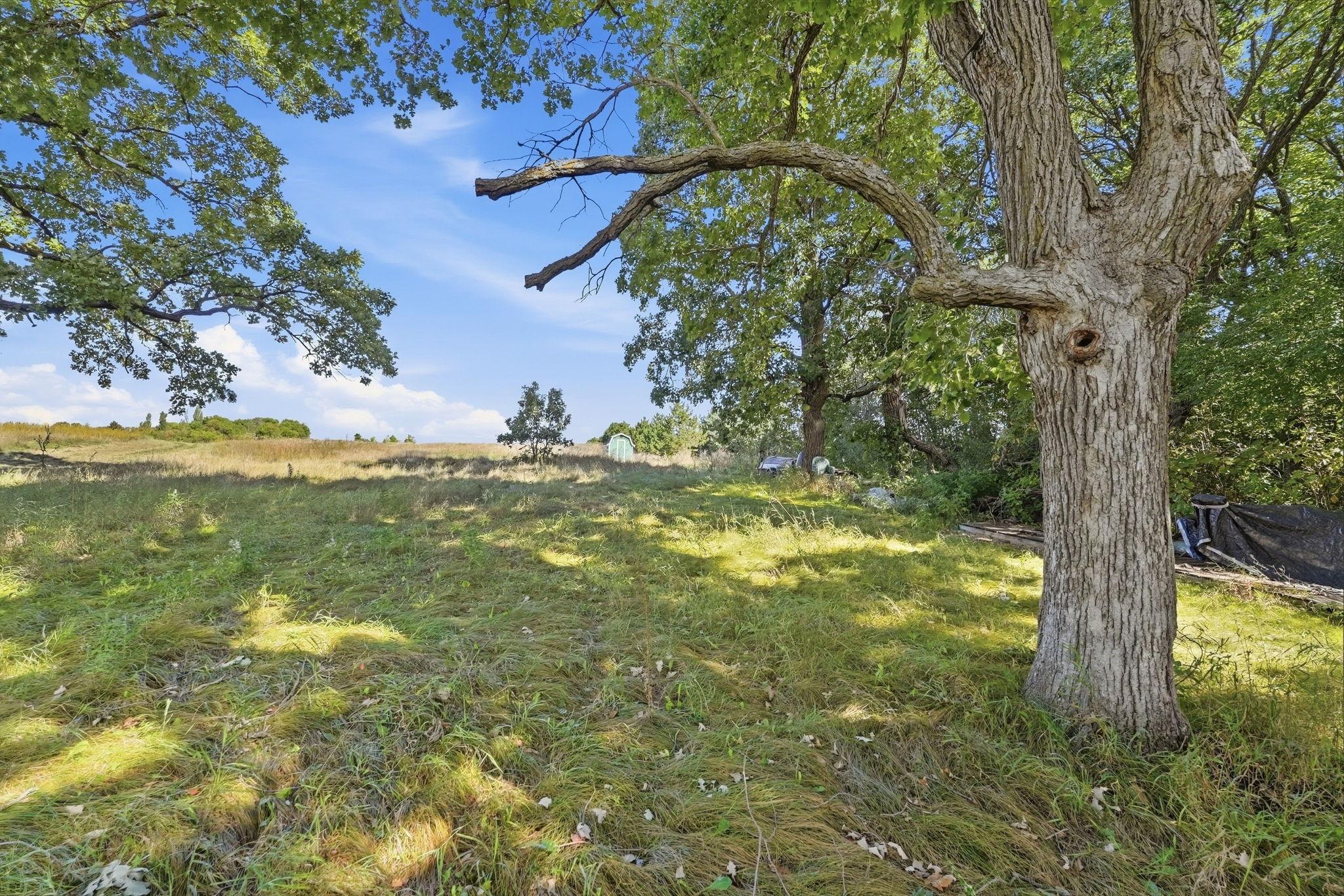 land for sale at 43300 170th Street in Clitherall, MN (photo 16 of 18)