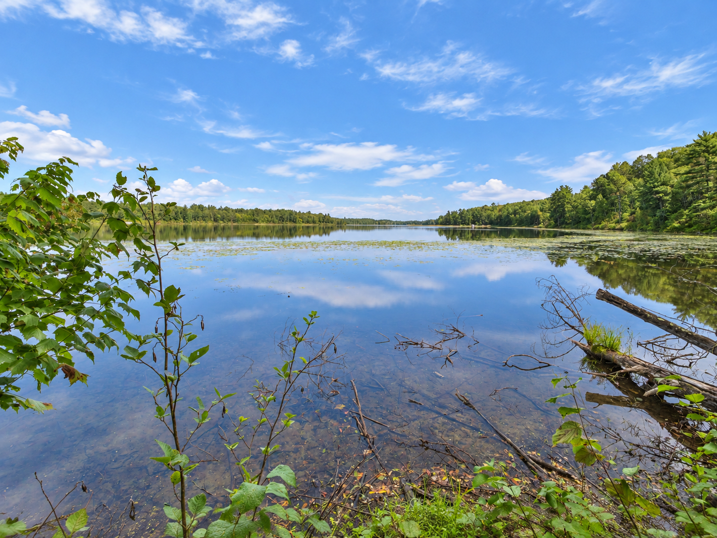 1981 single family home for sale at 6122 Camp Fish Road NW in Akeley, MN — 2 bed, 1 bath (photo 3 of 22)