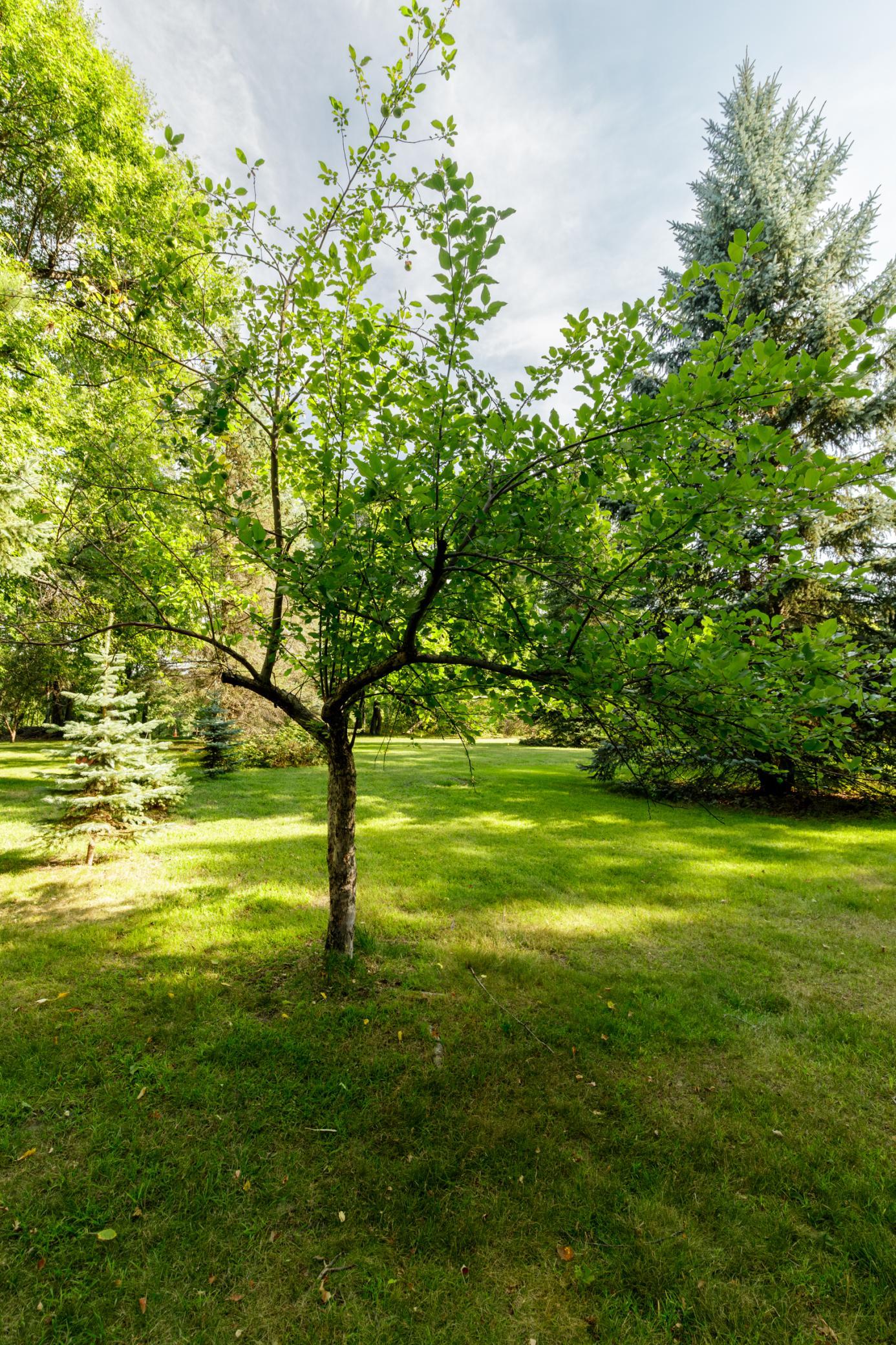 1990 single family home for sale at 6065 Highland Scenic Road in Baxter, MN — 4 bed, 3 bath (photo 29 of 35)