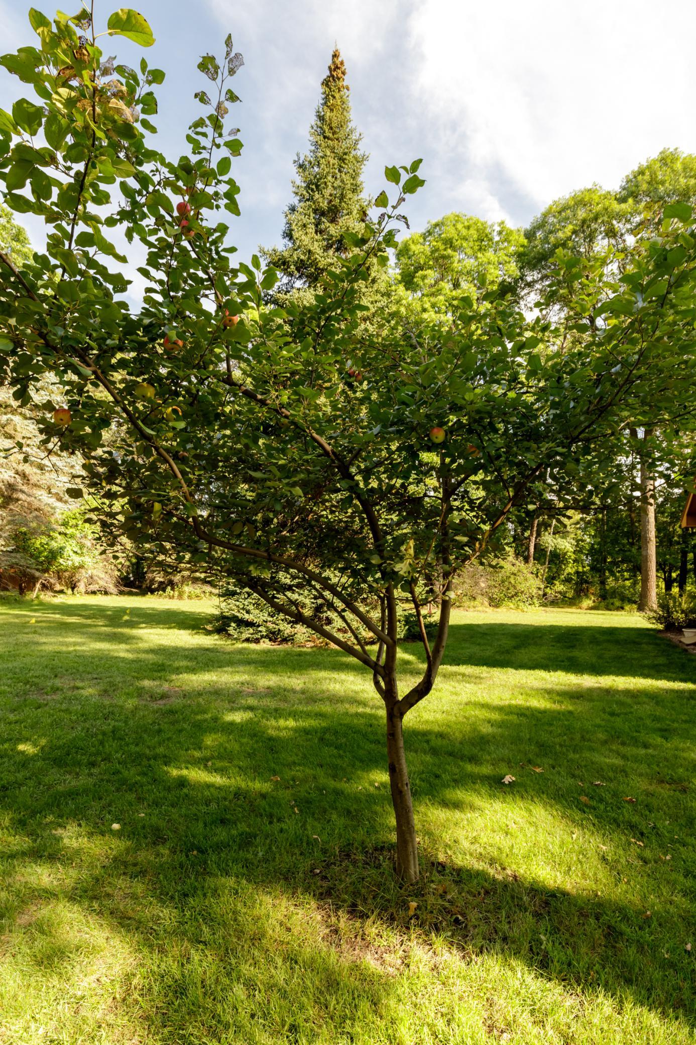 1990 single family home for sale at 6065 Highland Scenic Road in Baxter, MN — 4 bed, 3 bath (photo 32 of 35)