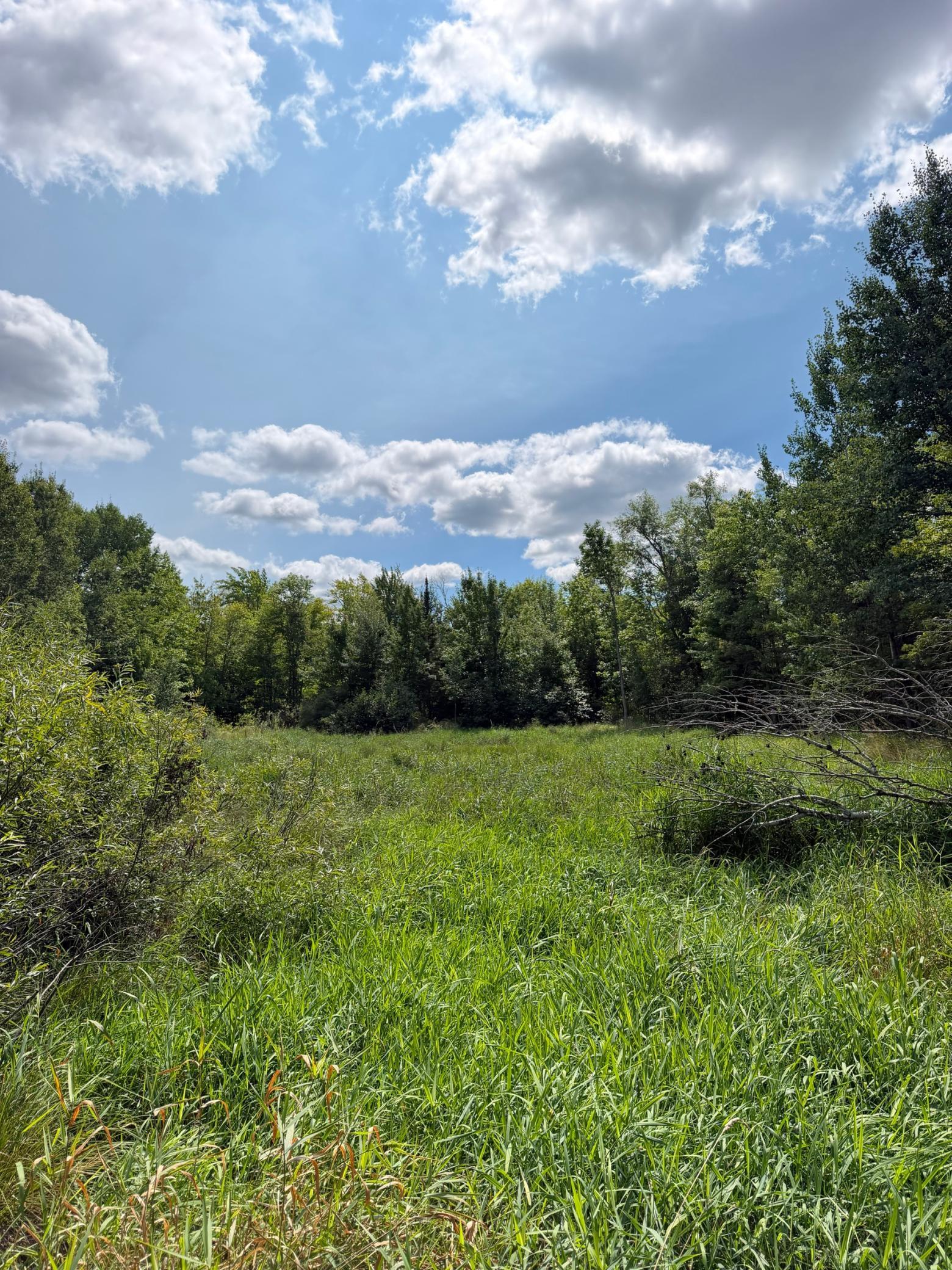 1921 land for sale at 20366 County Road 12 in Bovey, MN (photo 11 of 15)