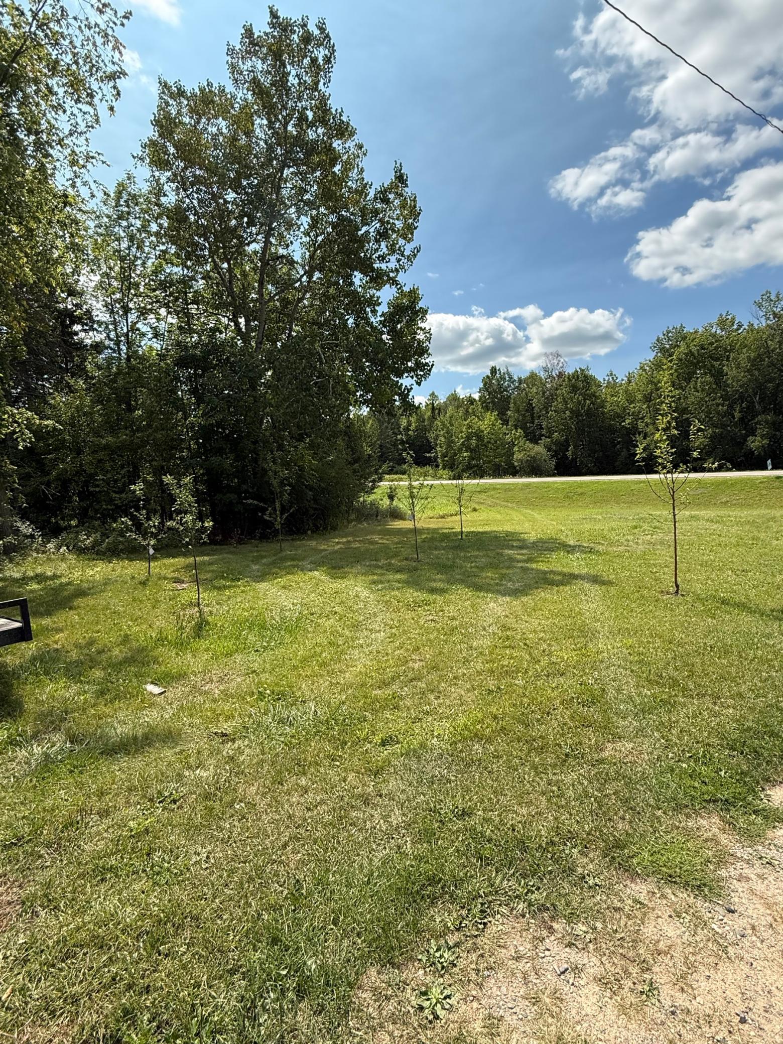 1921 land for sale at 20366 County Road 12 in Bovey, MN (photo 5 of 15)