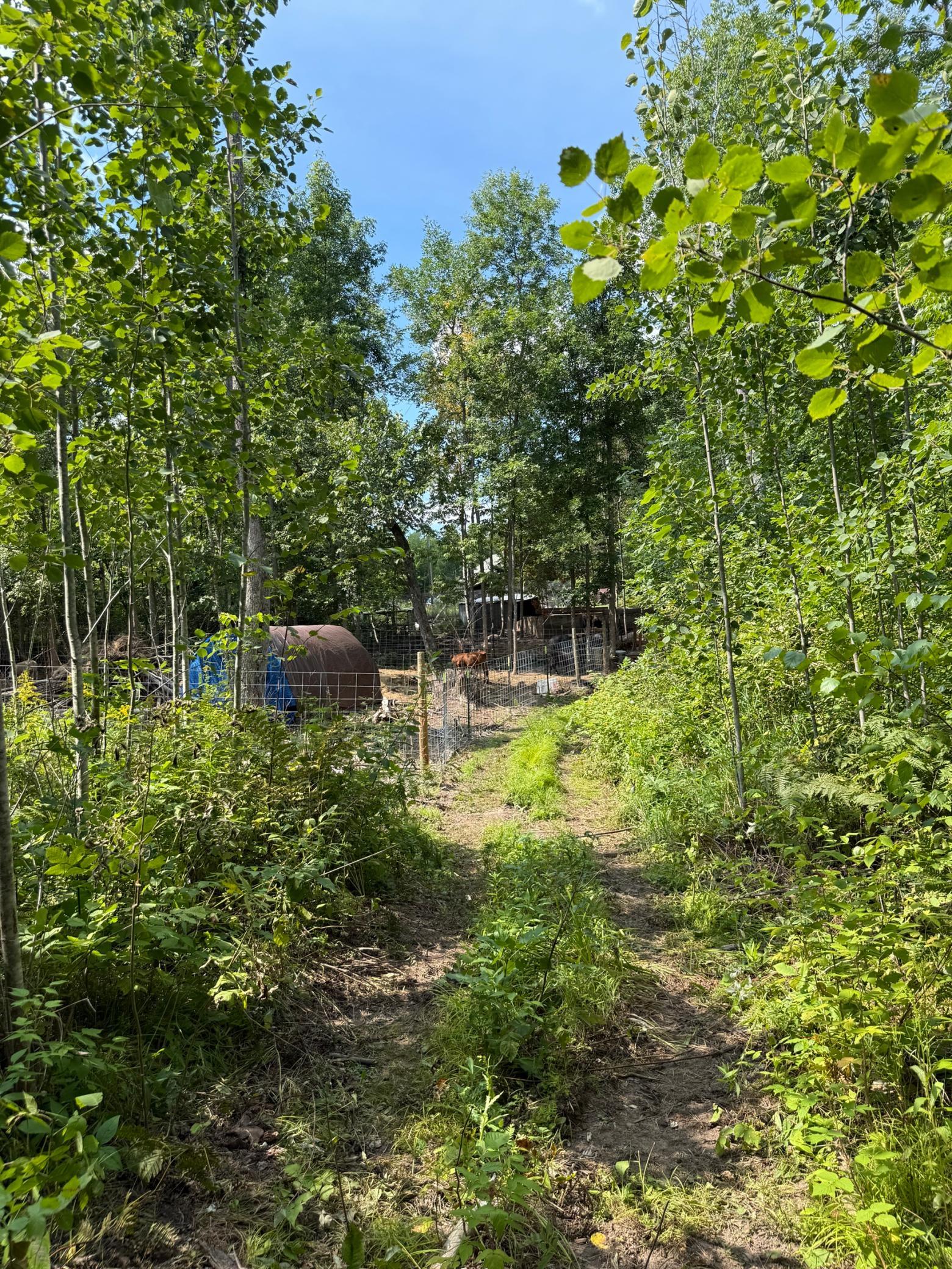 1921 land for sale at 20366 County Road 12 in Bovey, MN (photo 7 of 15)