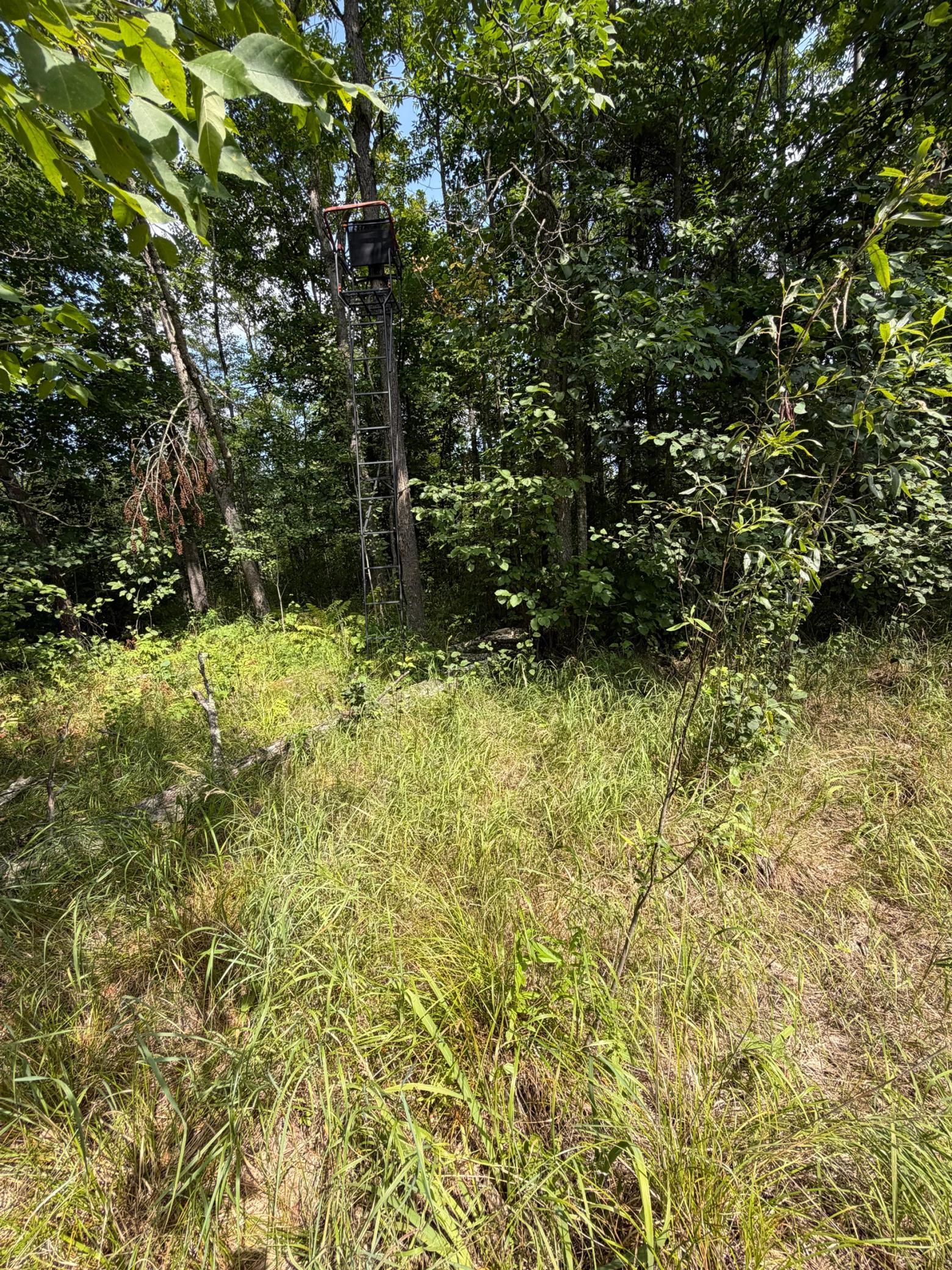 1921 land for sale at 20366 County Road 12 in Bovey, MN (photo 8 of 15)