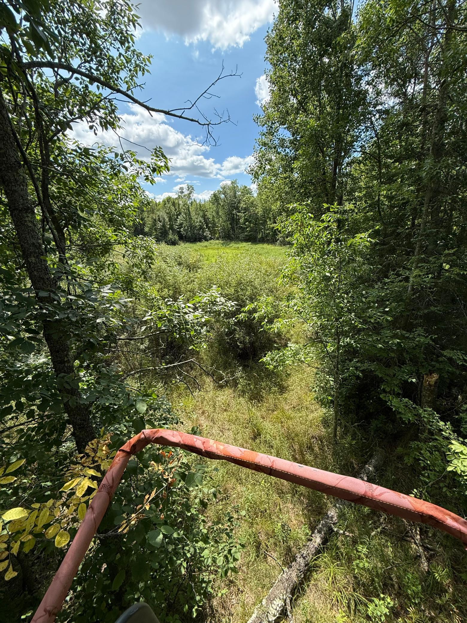 1921 land for sale at 20366 County Road 12 in Bovey, MN (photo 10 of 15)