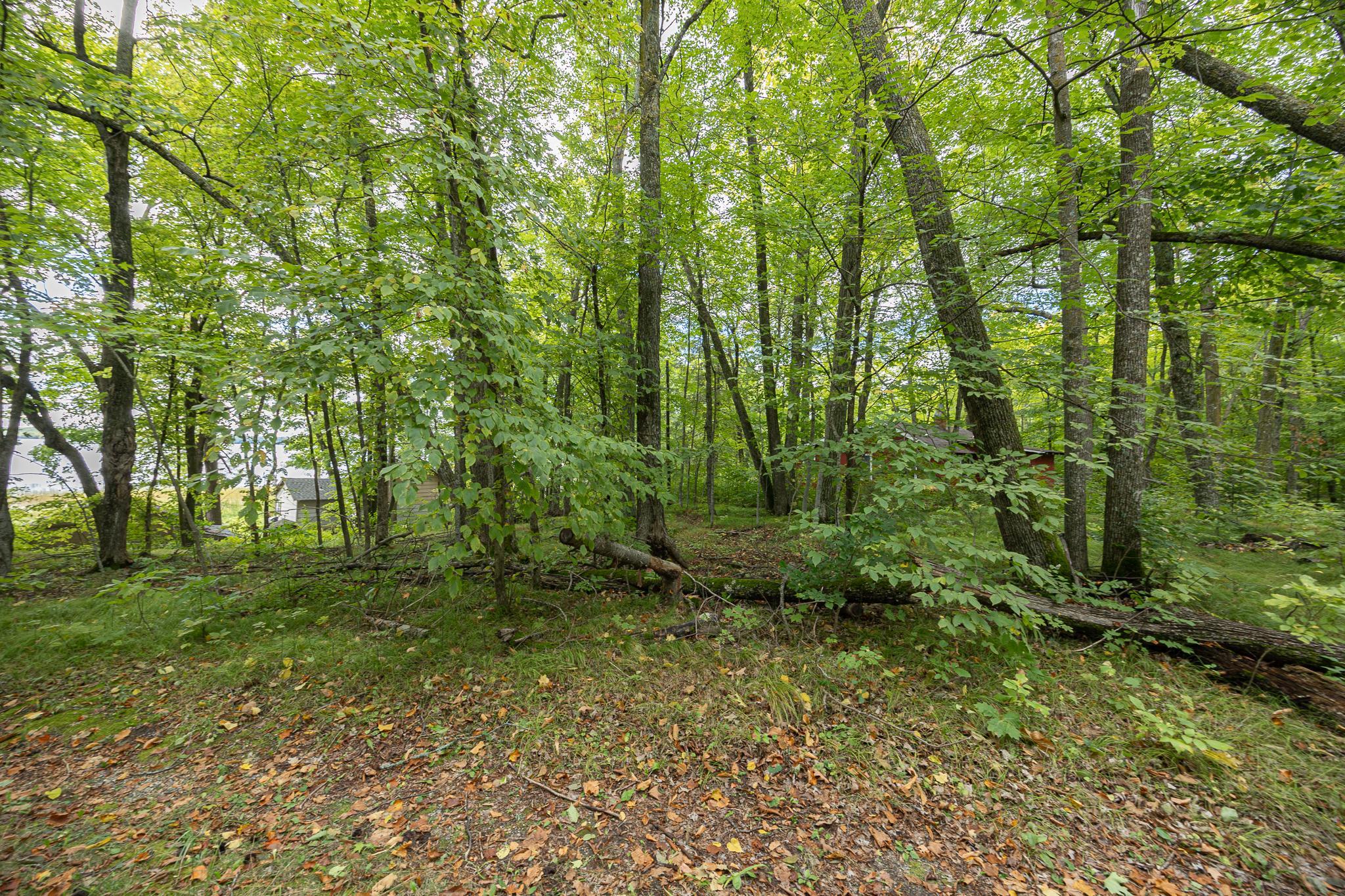 land for sale at 1725 Birch Lane NE in Longville, MN (photo 21 of 24)