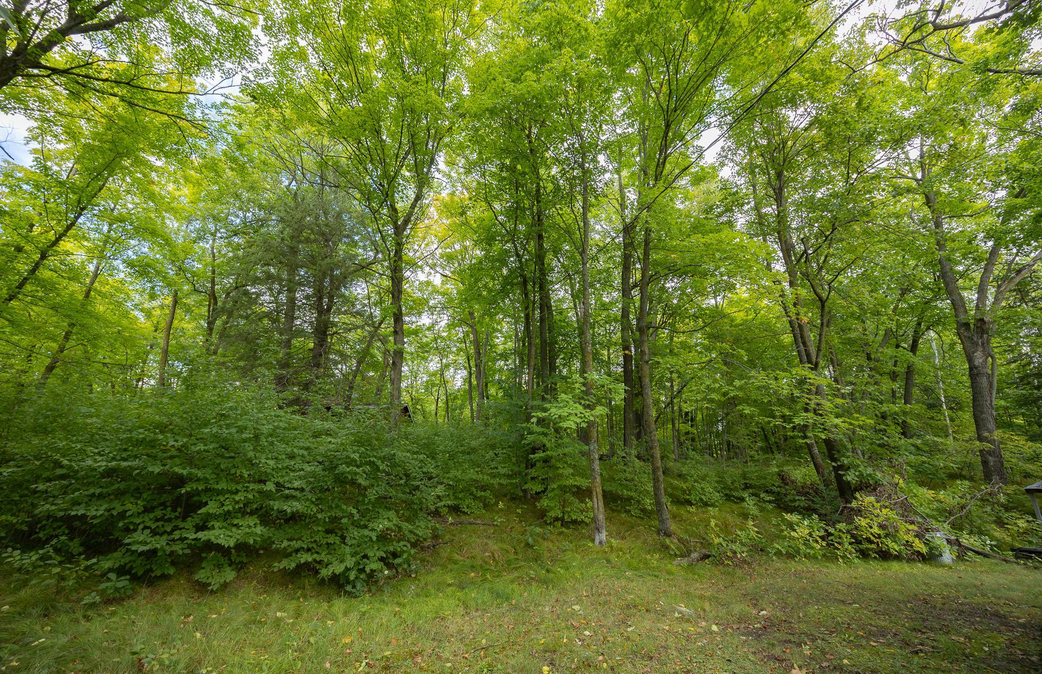 land for sale at 1725 Birch Lane NE in Longville, MN (photo 22 of 24)