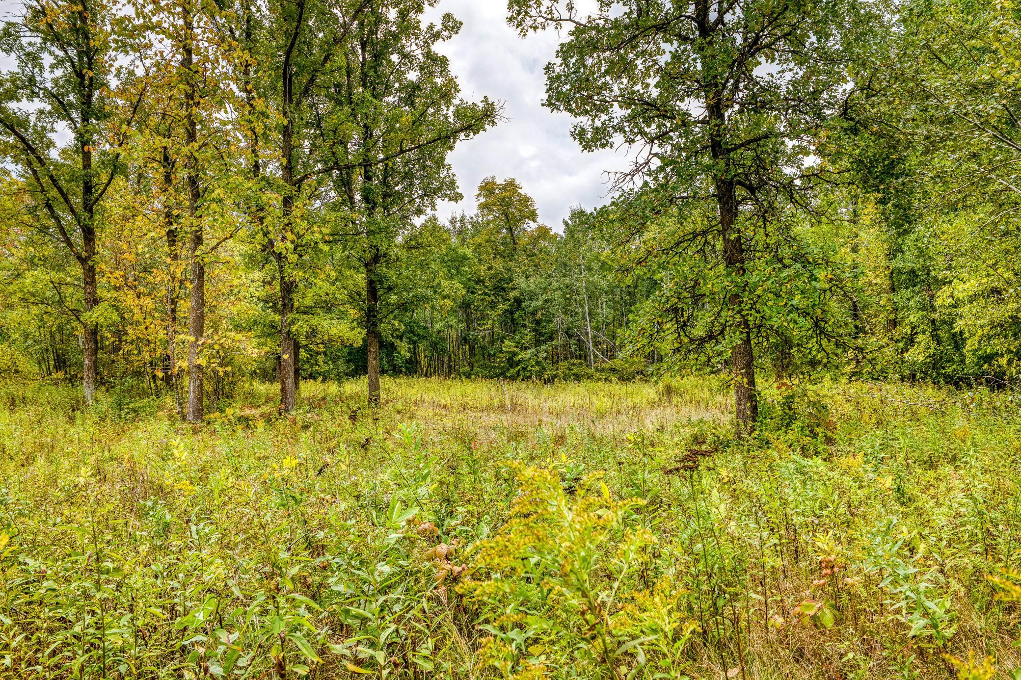 1991 single family home for sale at 23099 512th Street in Bemidji, MN — 3 bed, 1 bath (photo 42 of 44)